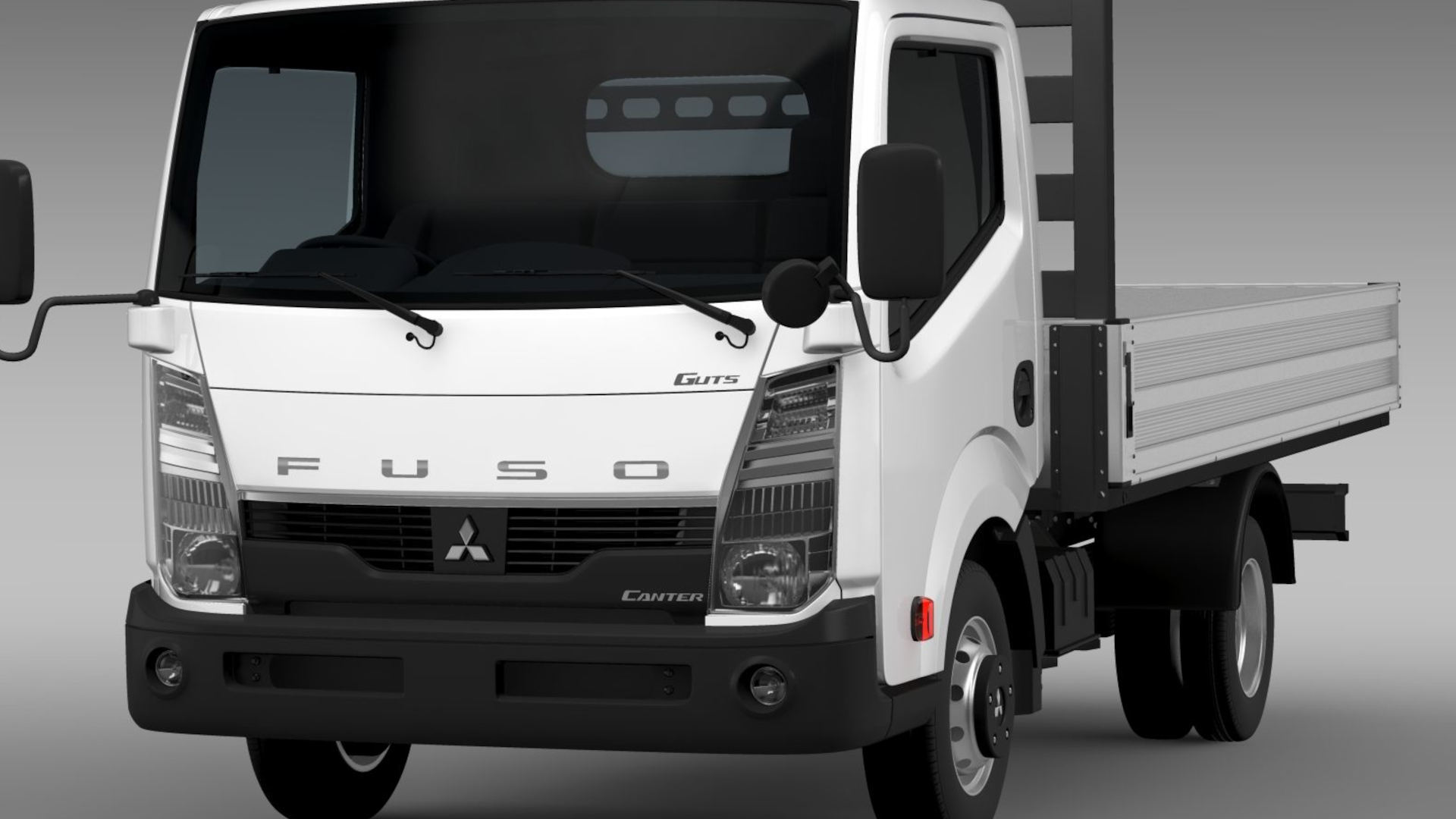 mitsubishi fuso canter guts