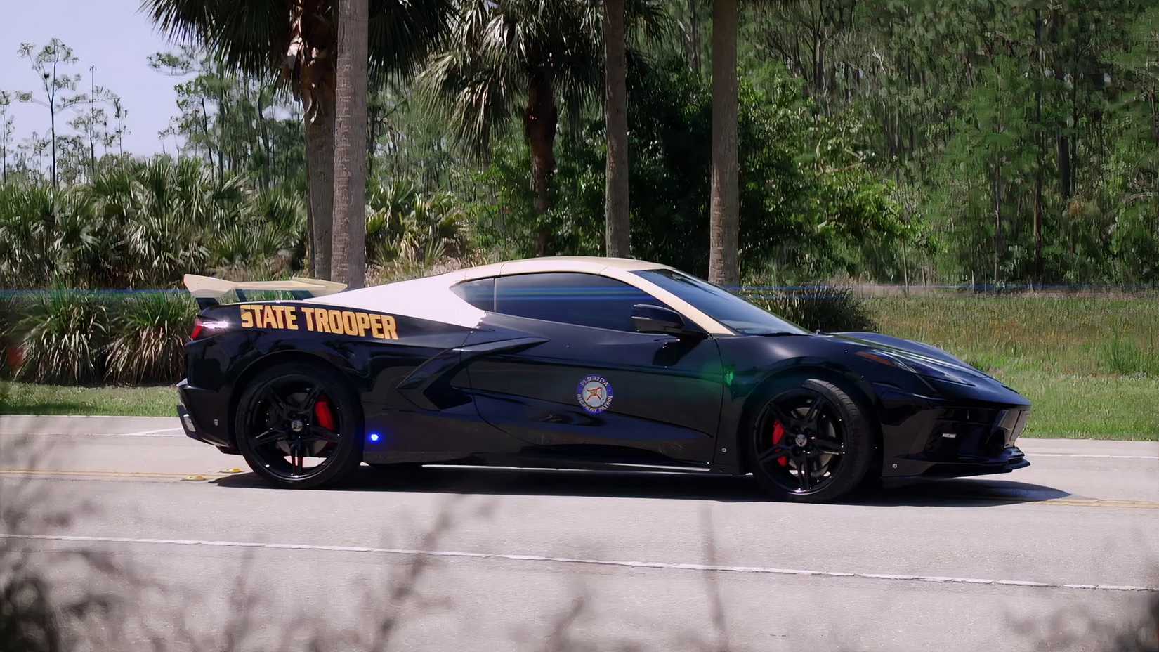 Warren County Sheriff's Office unveils new look for department's Corvette -  WNKY News 40 Television, image size:1650x928