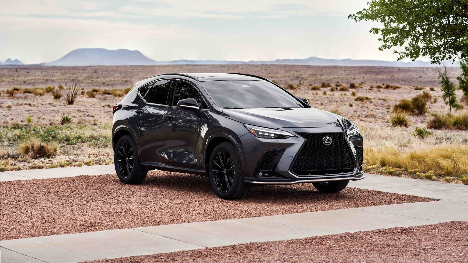 Lexus UX Vs. NX Comparison