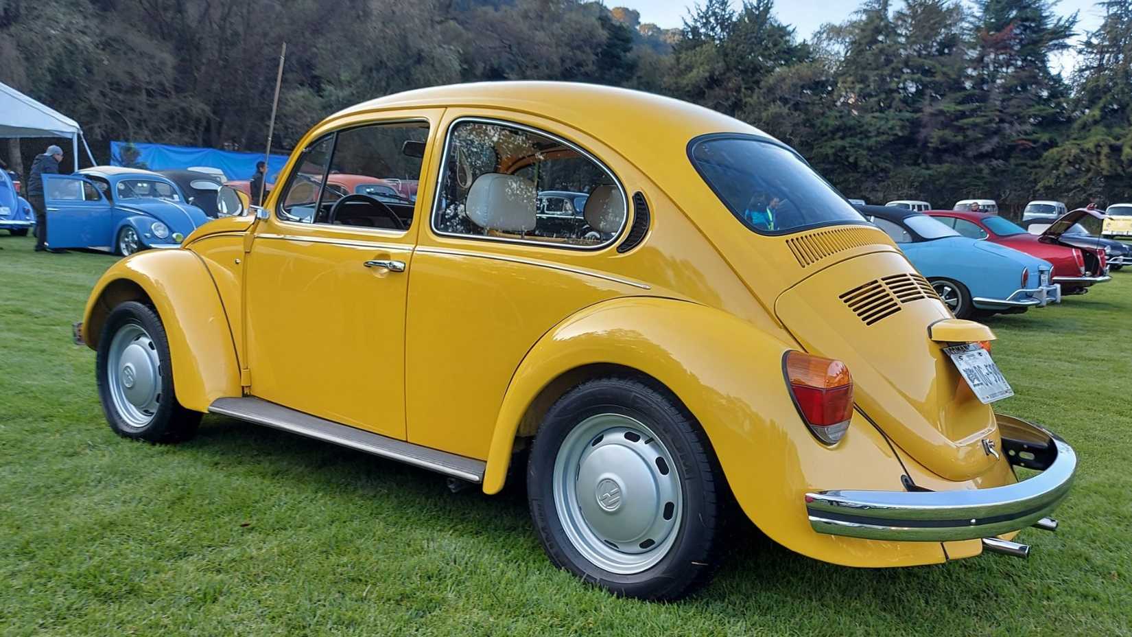 Volkswagen Beetle Mexico 30th Anniversary Edition Alfredo Acevedo SEBeetles 2