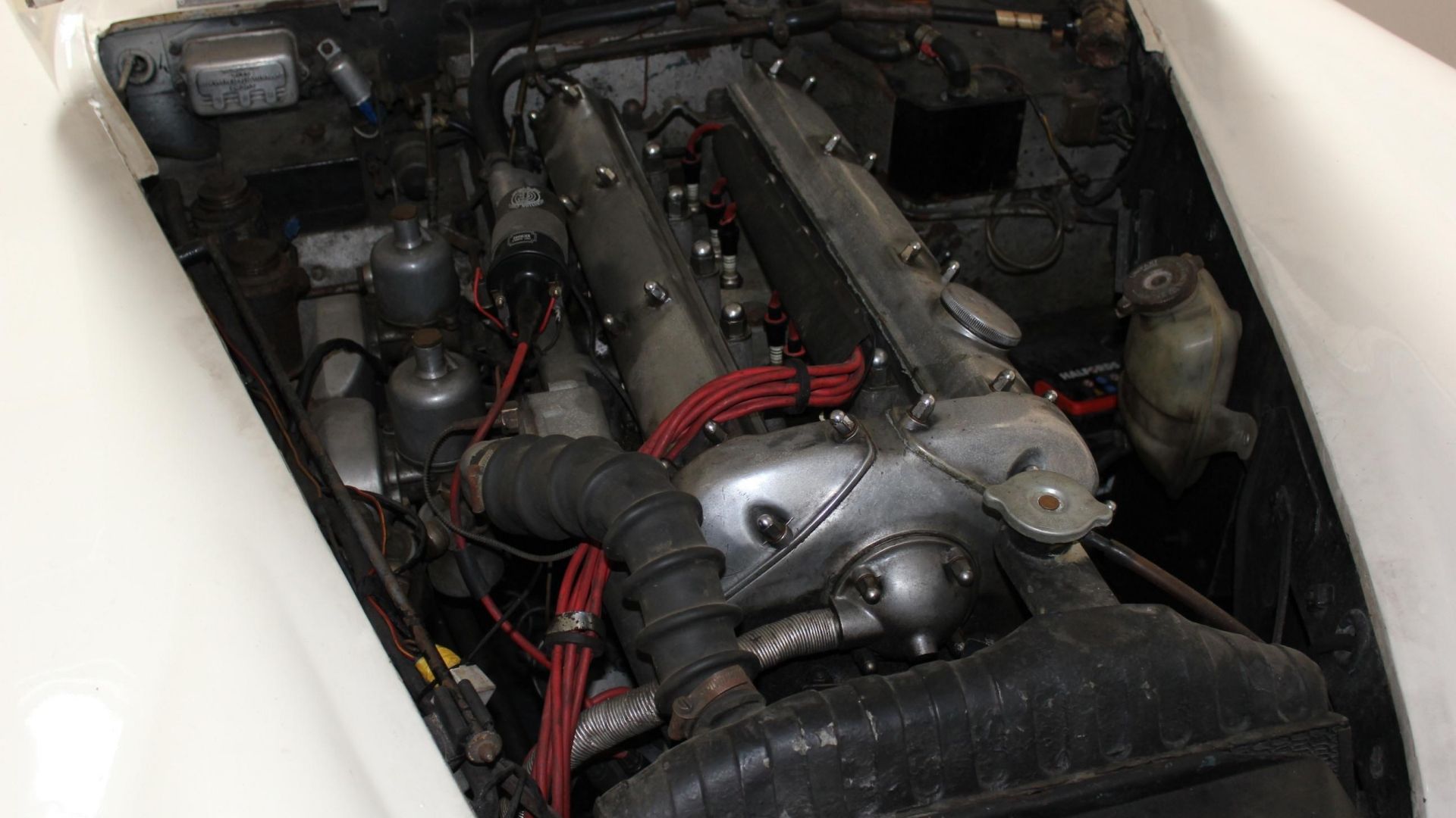 The Performance Wagon Almost Nobody Knows Exists
