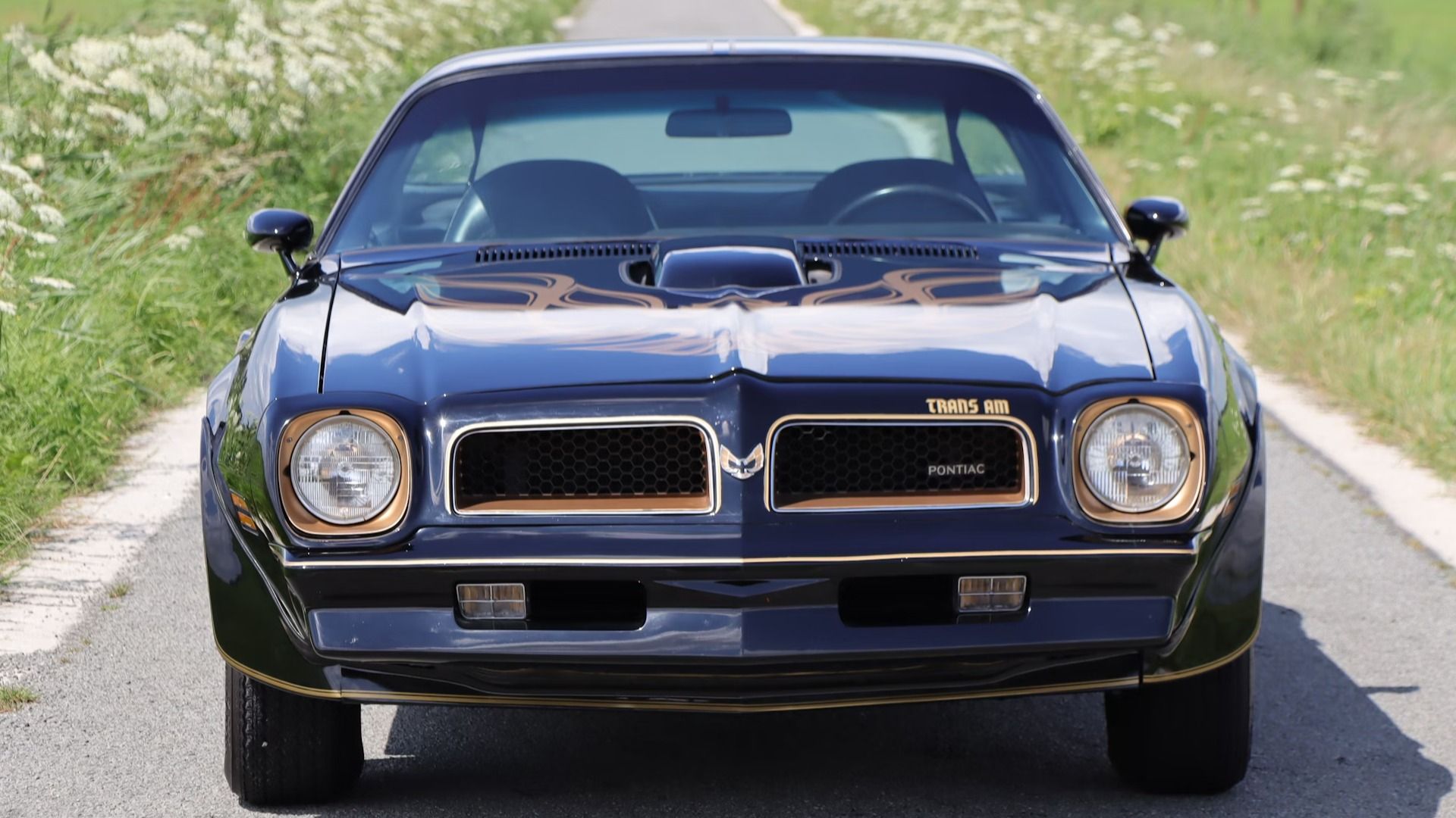 The Rarest 1969 Pontiac Firebird Trans Am Model Is Rare As Hen's Teeth