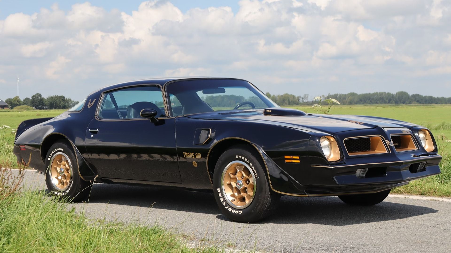 The Rarest 1969 Pontiac Firebird Trans Am Model Is Rare As Hen's Teeth