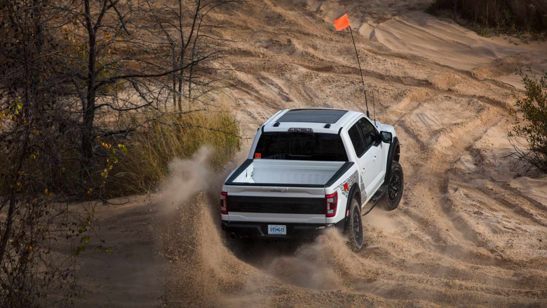 The Mustang And F-150 Are The Last Fords Available With A V8