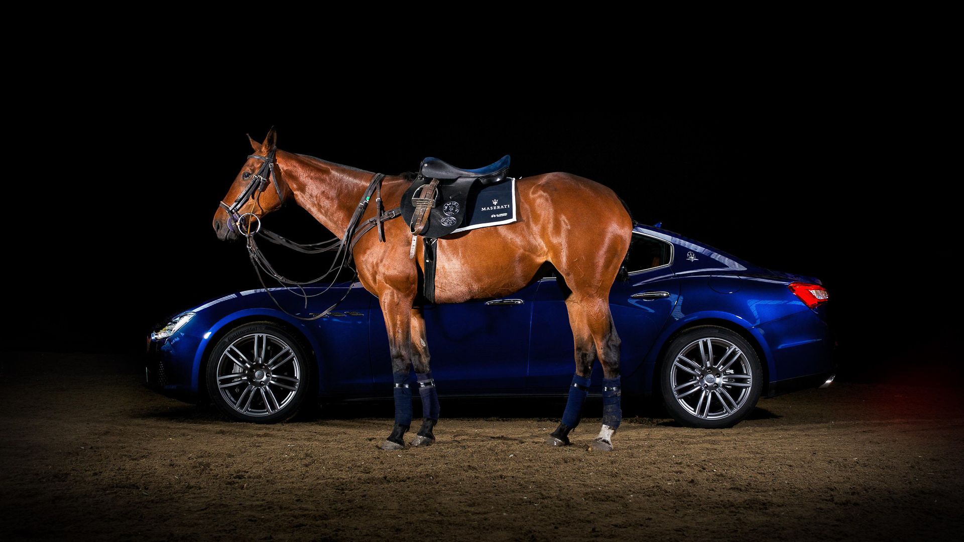 Maserati Centenary Polo Tour. La Martina. Saddle-1