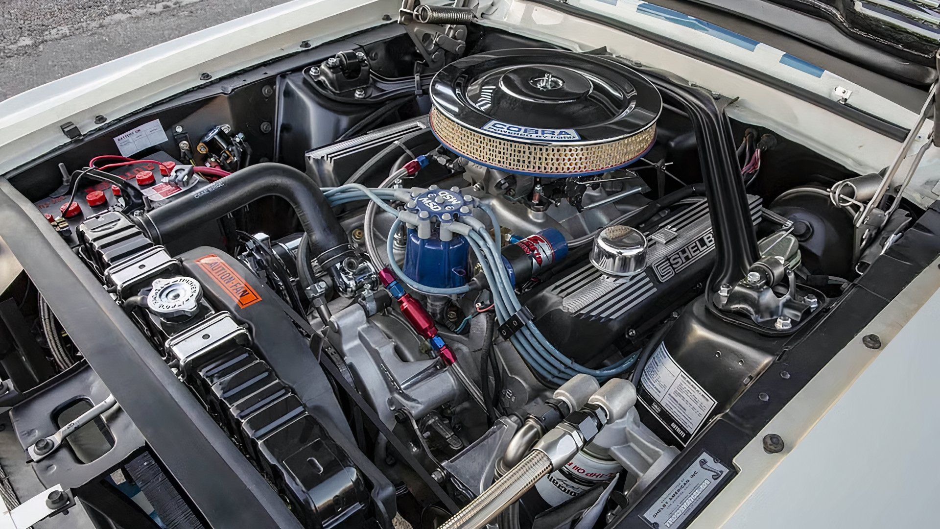 Shelby Super Snake Mustang Values: From Classic 1967 to New 2026 Models