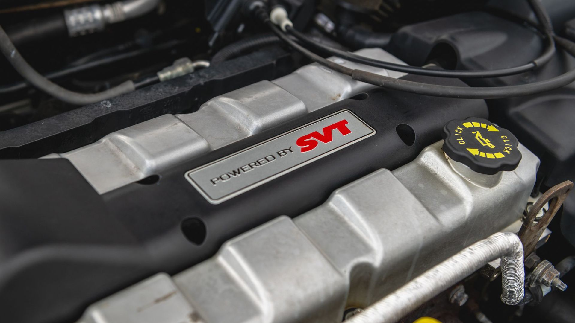 The Most Underrated Ford Of The Last 25 Years Is An SVT-Tuned Hot Hatch