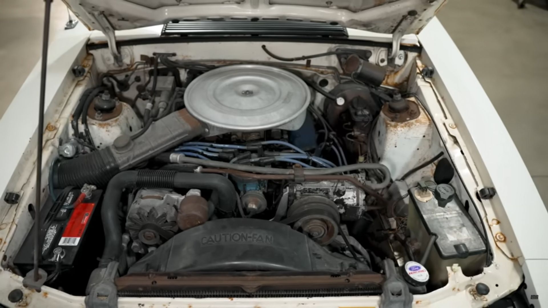 1979 Ford Mustang Cobra Engine