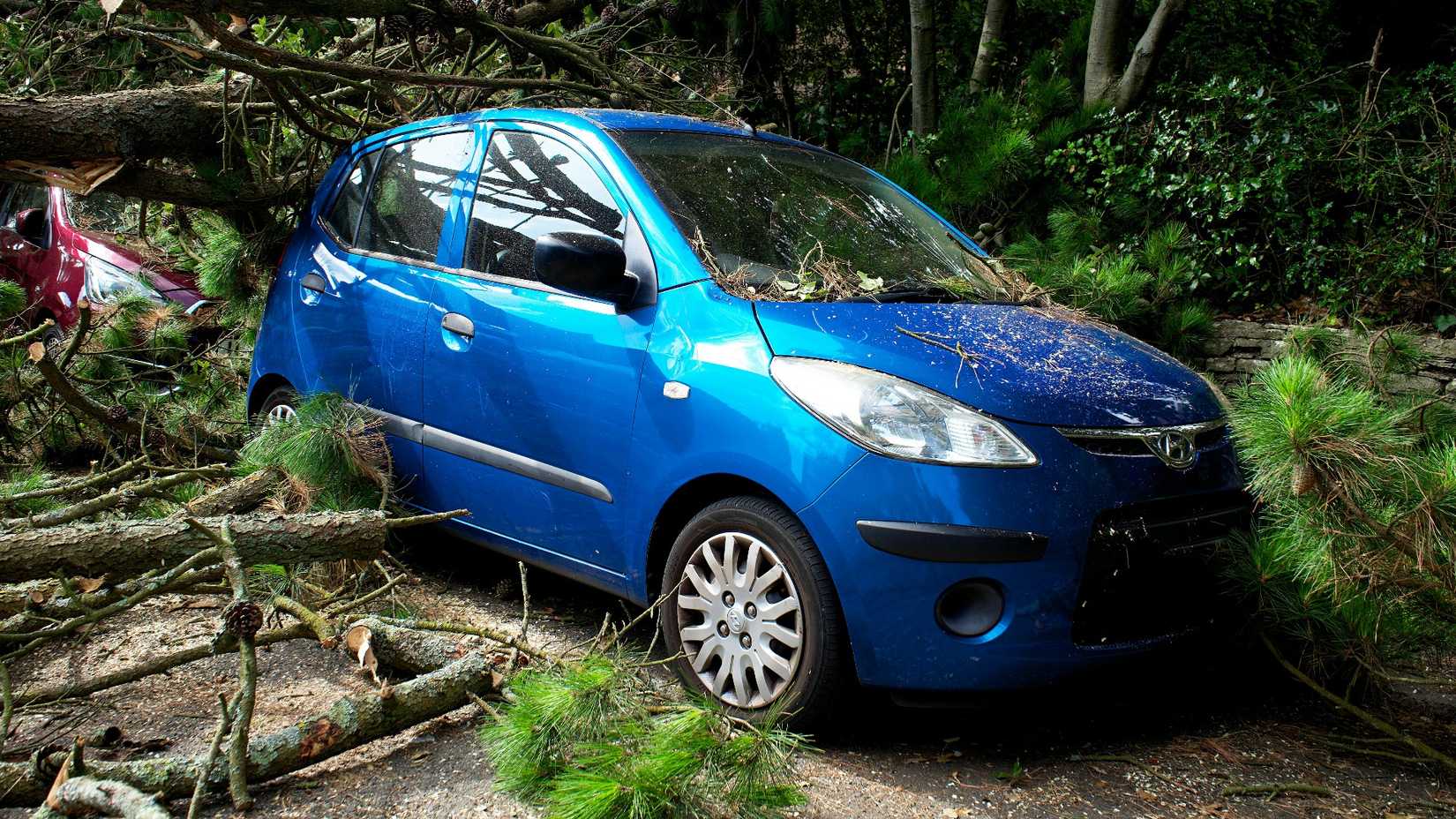 accident,hyundai atos,tree