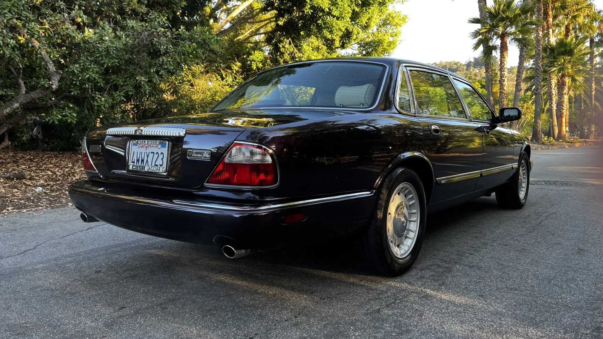 【レア】 pladask elektrisk fabrikat【グラニュラー】 レア】 pladask elektrisk fabrikat【グラニュラー】 レア】 pladask