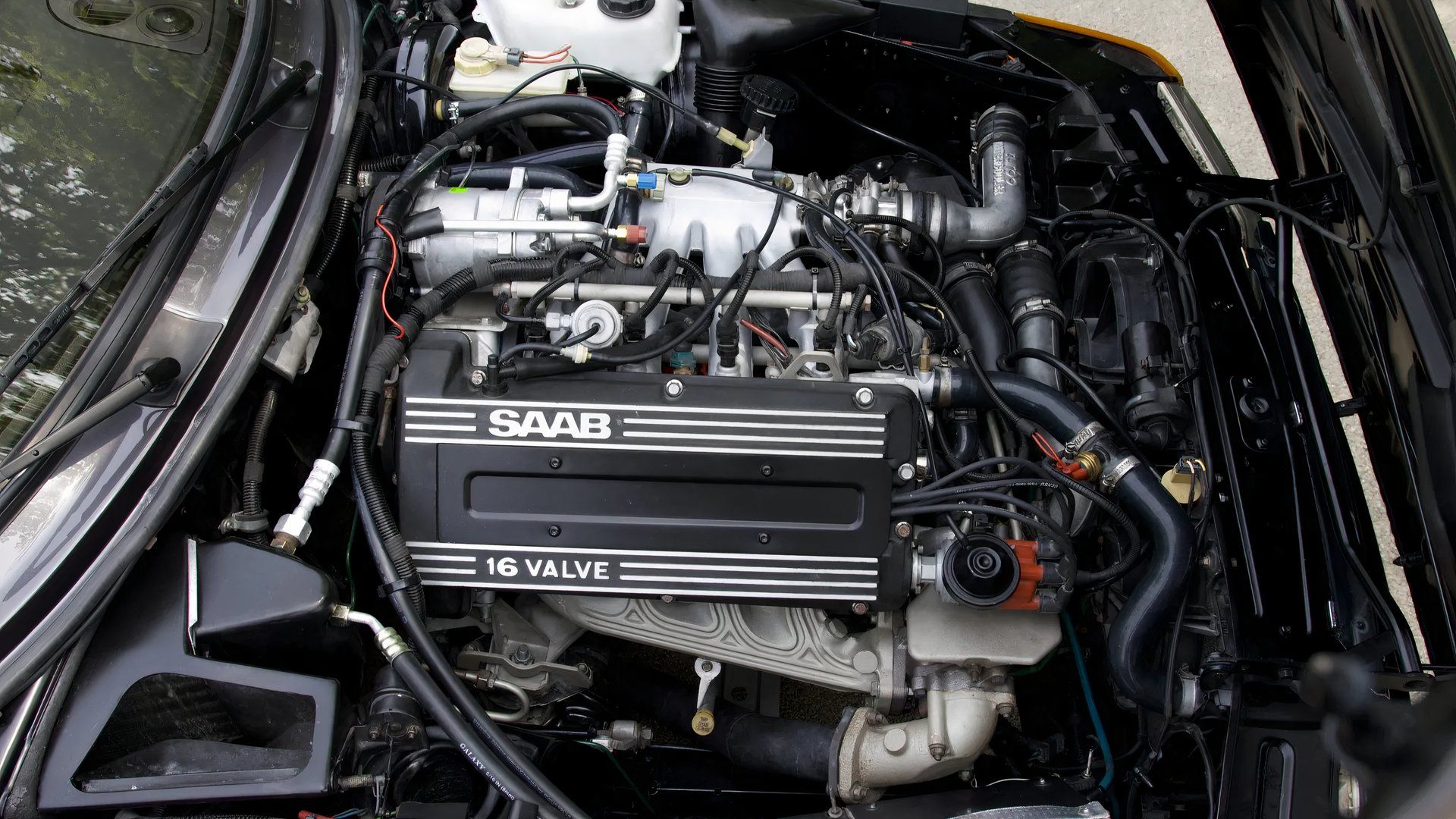 10 Affordable Cars That Are Perfect For Attention Seekers