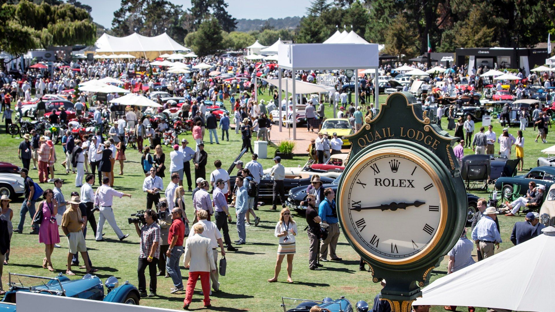 Everything You Need To Know