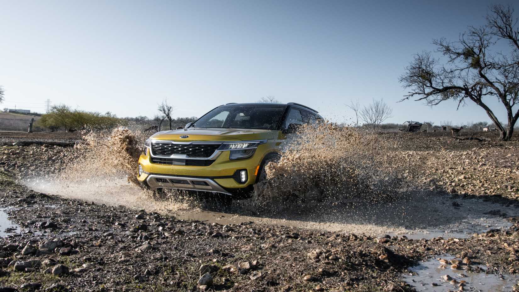 Extraordinary Common Problems With 2021 Kia Seltos Gallery