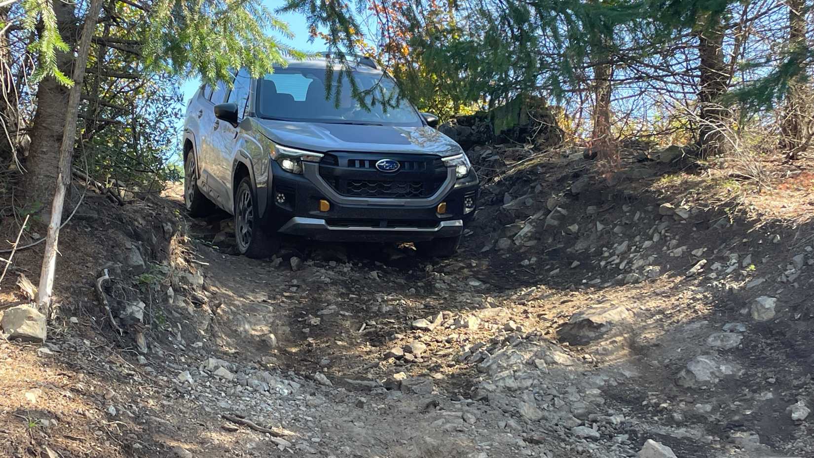 2026 Subaru Forester Wilderness Exterior Off-Road 6