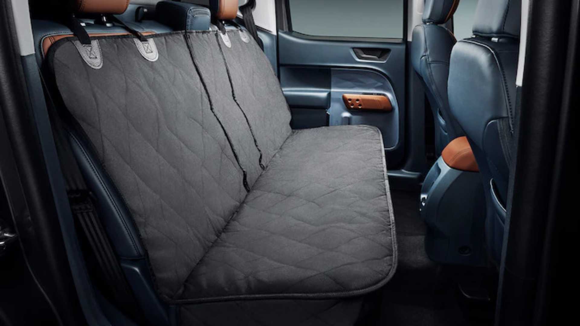 Broncopet Must Have Accessories For The Ford Bronco Raptor