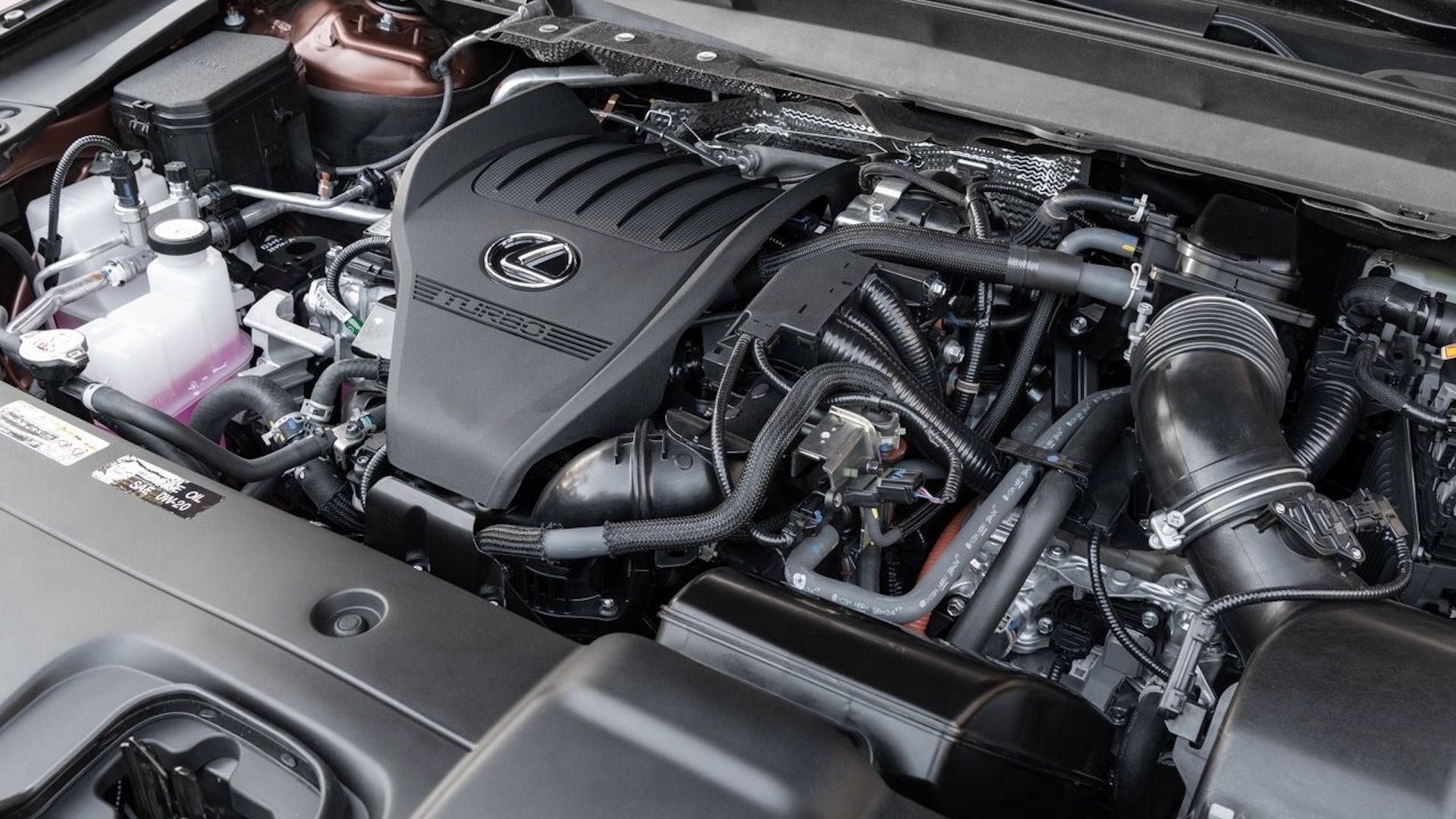 2025 Lexus RX Pricing, Photos & Specs