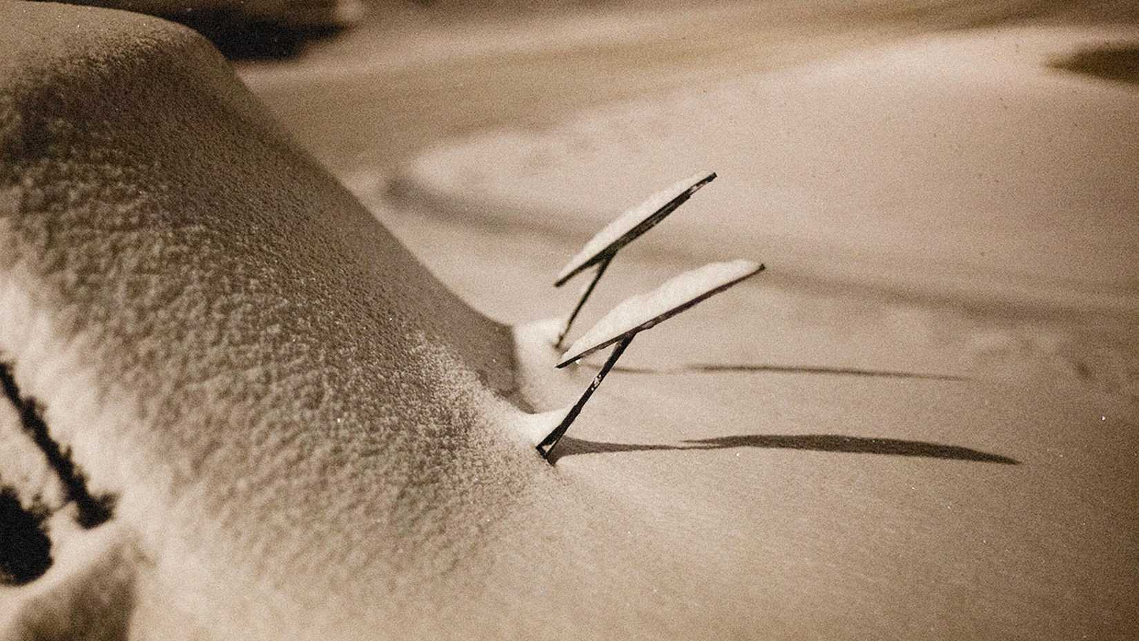 pexels-alexeydemidov-9507063