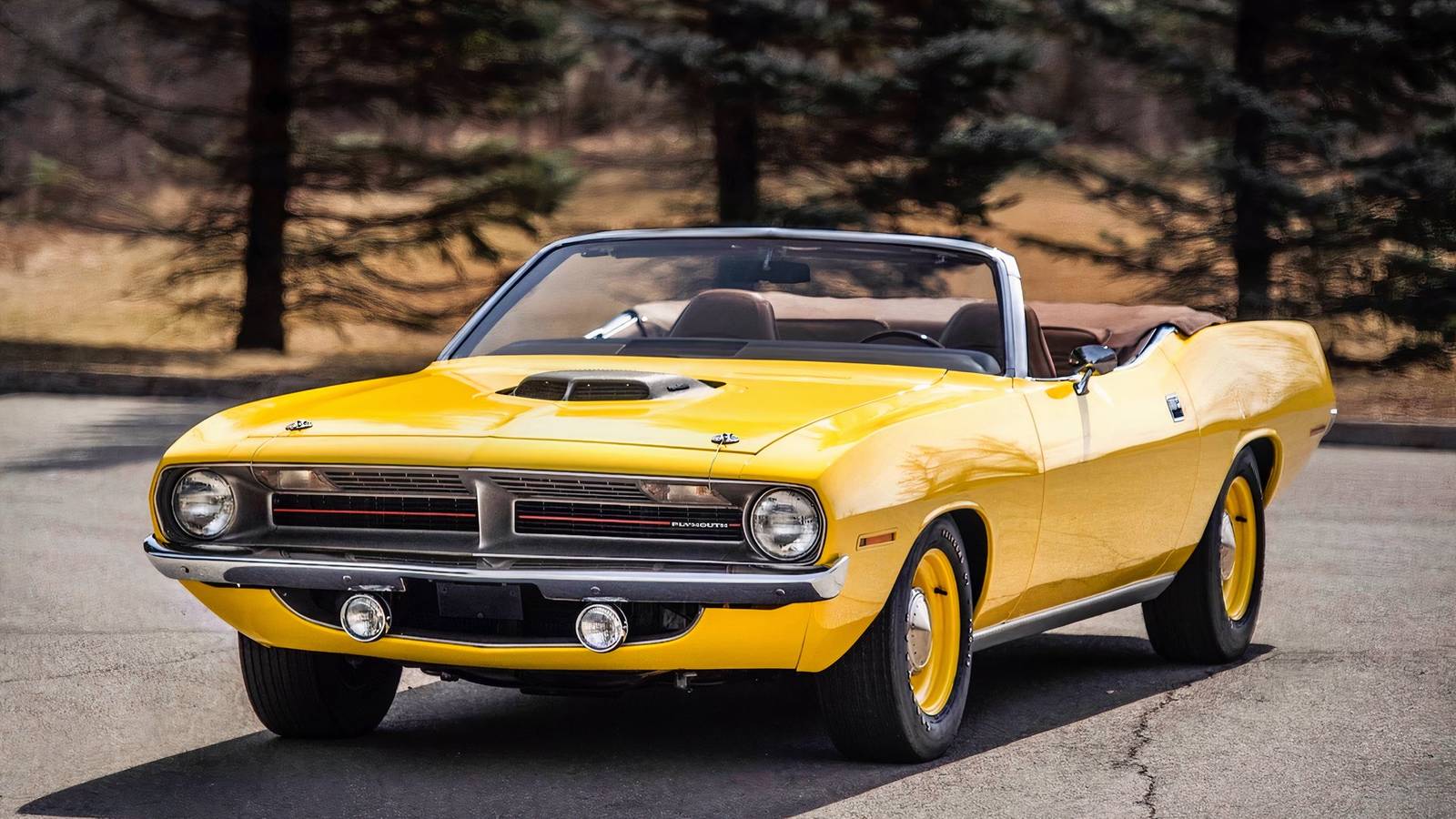 These Are Some Of The Rarest Muscle Cars That Collectors Go Crazy For
