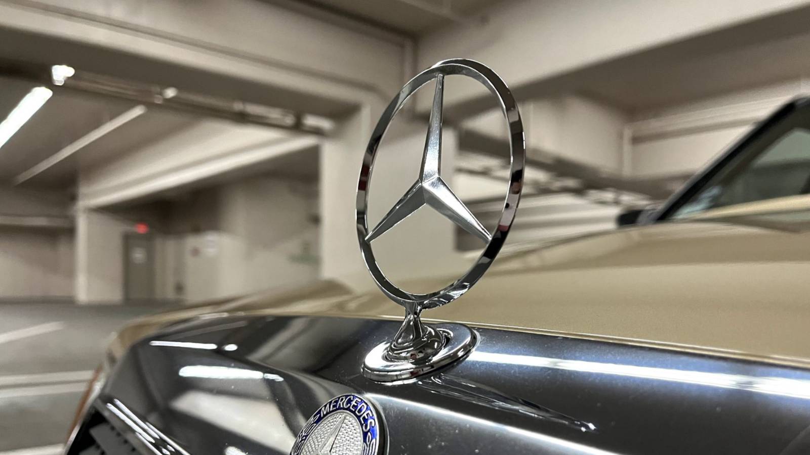 The German Luxury Car That Will Outlast Your Grandkids' Grandkids