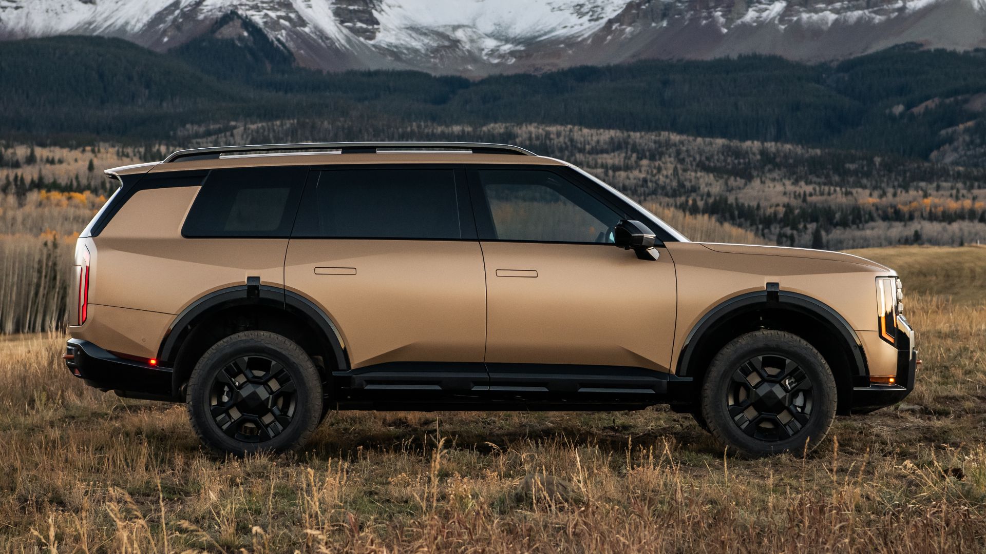 10 Features That Prove The All-New Kia Telluride Is Ready To Fight The ...