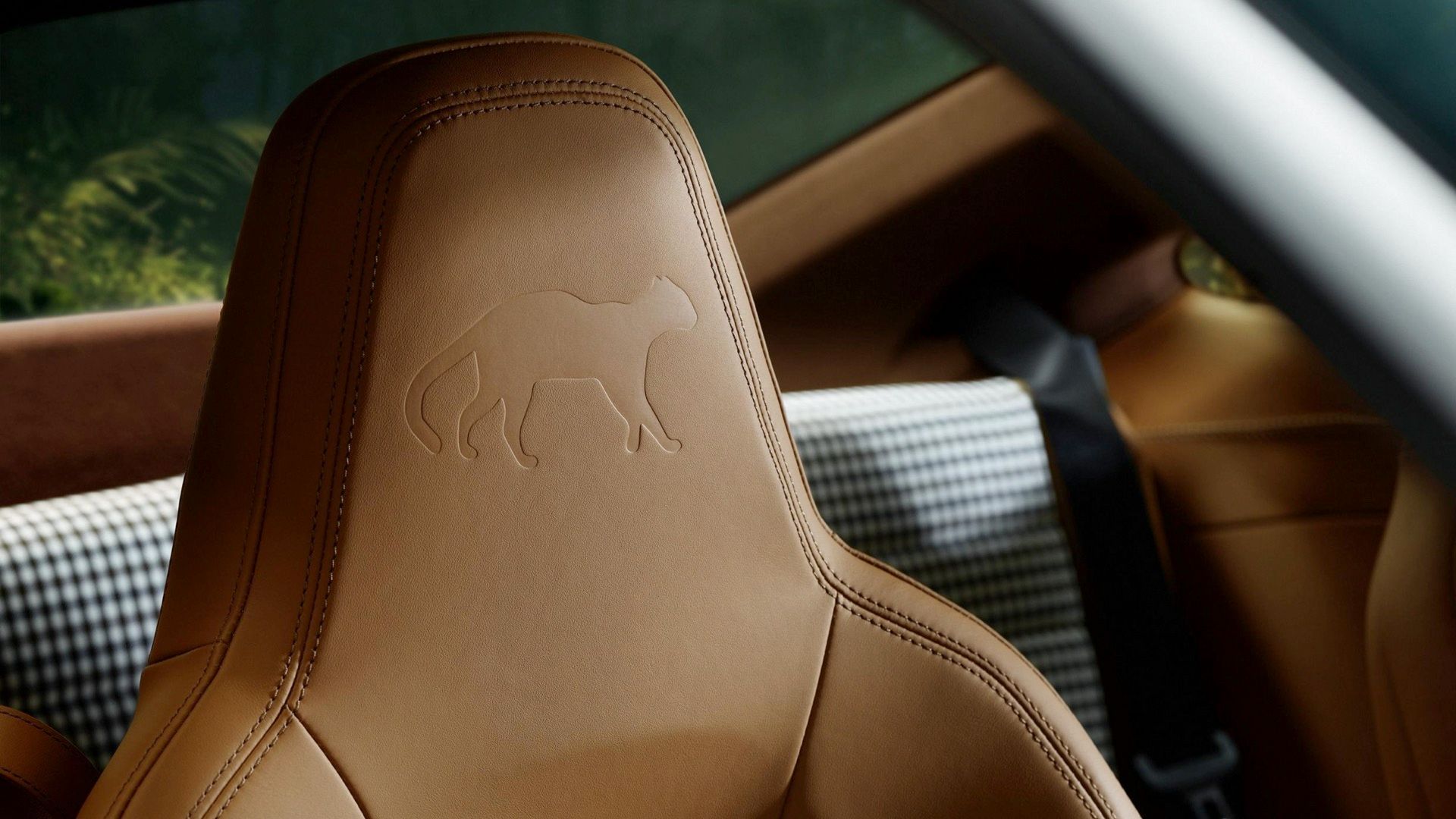 This Special Porsche 911 GT3 Is An Ode To The Amazon Rainforest