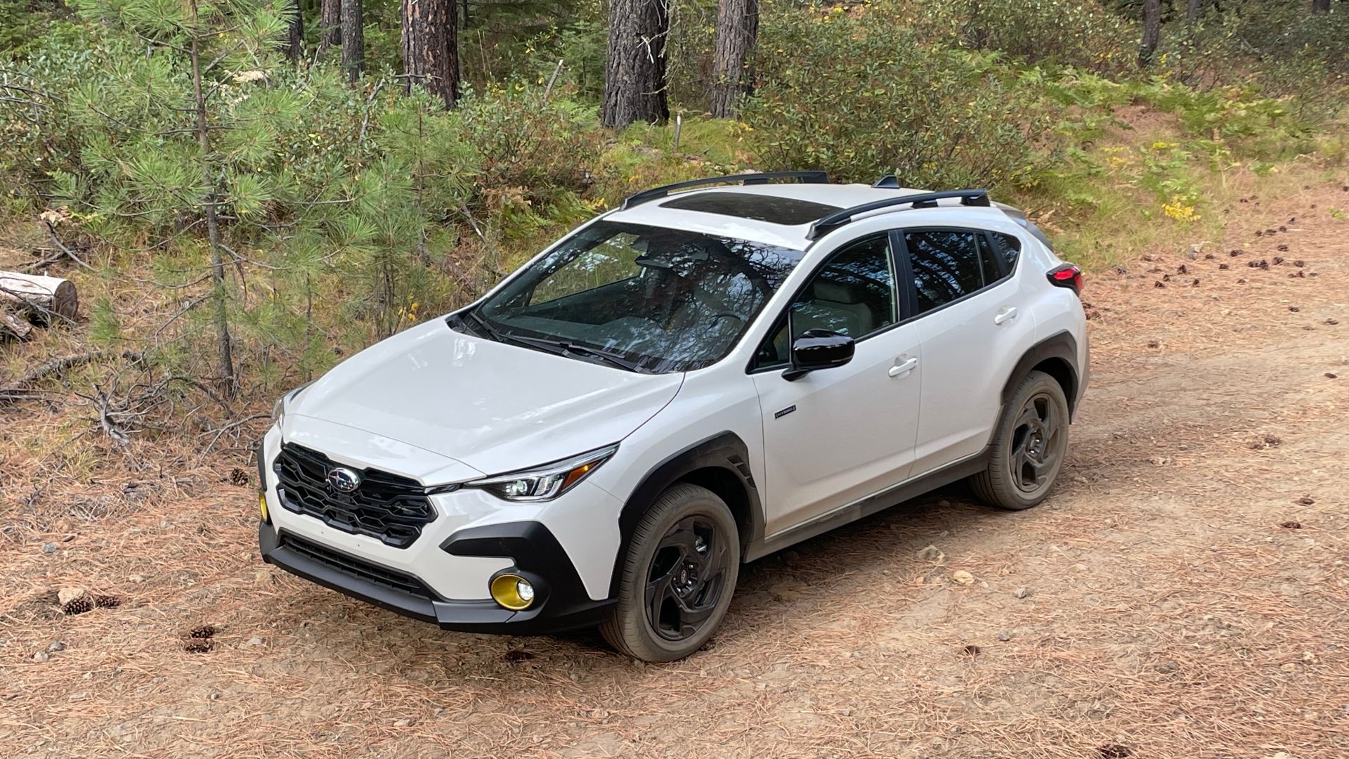 Good First Cars For New Drivers In 2026: Experts Weigh In