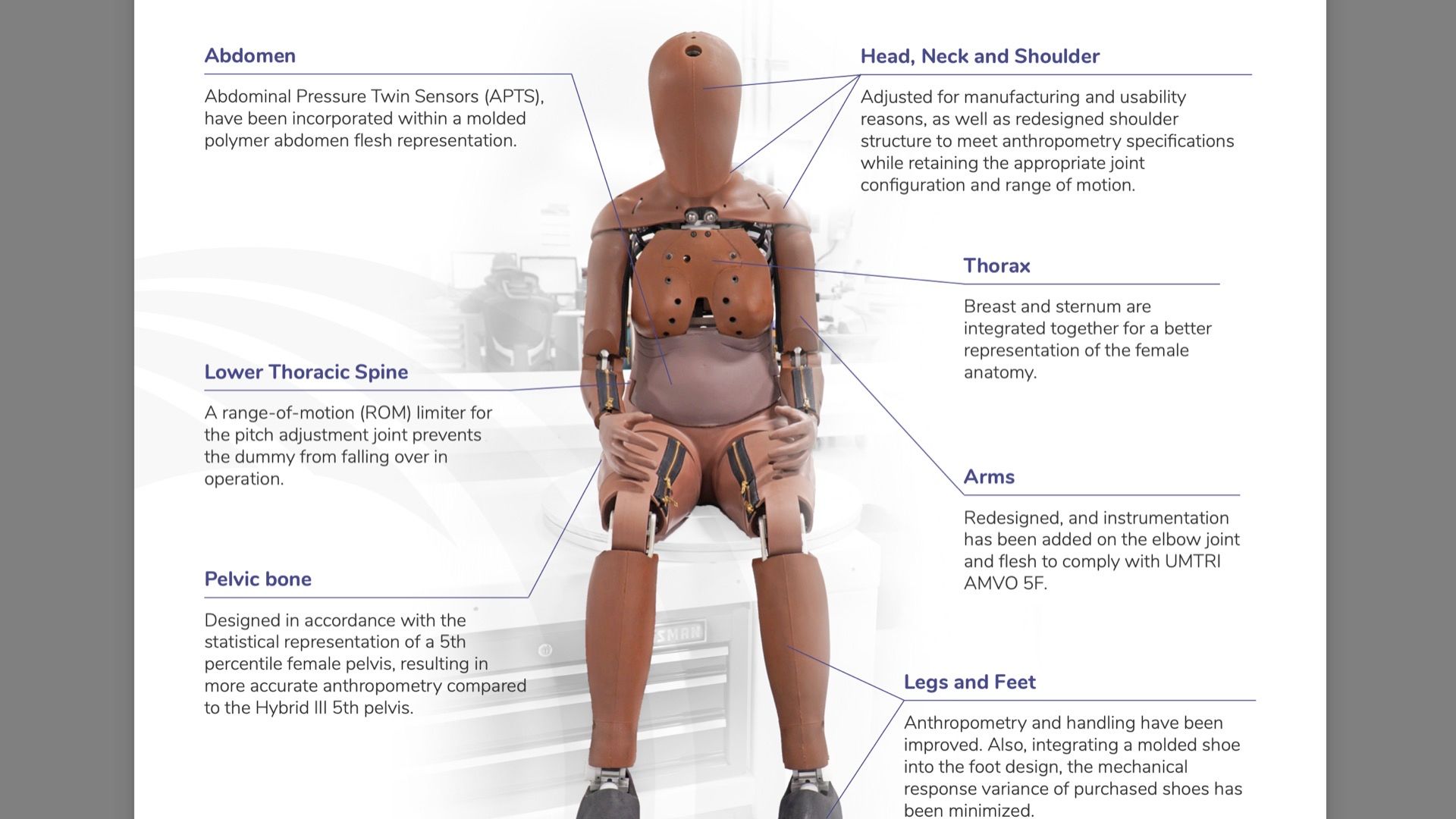 Female Crash Test Dummies Are Finally Resting To Start Crashing