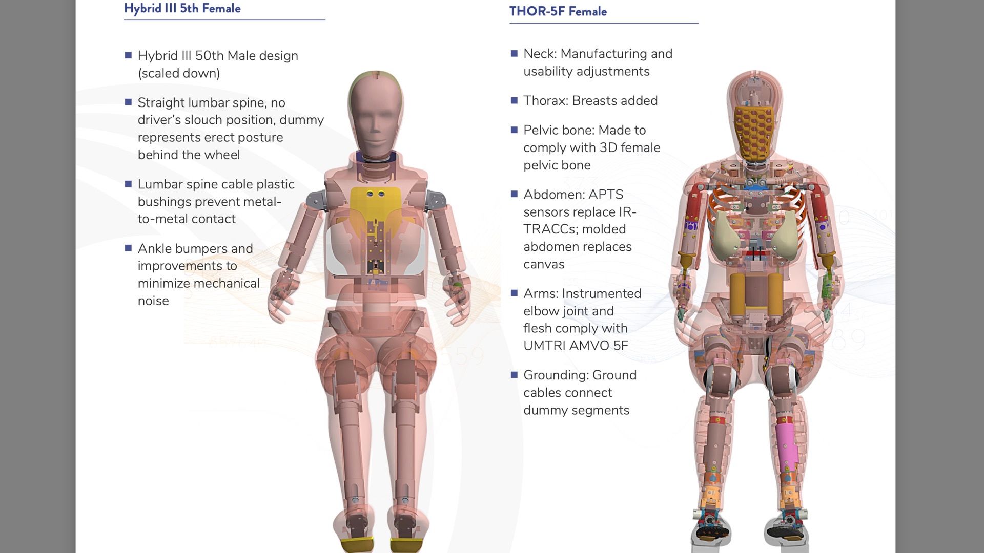 Female Crash Test Dummies Are Finally Resting To Start Crashing