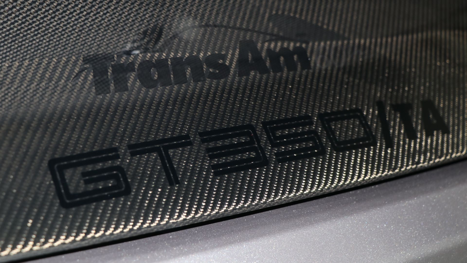 The New Shelby Mustang GT350/TA Is Ready To Hit The Track