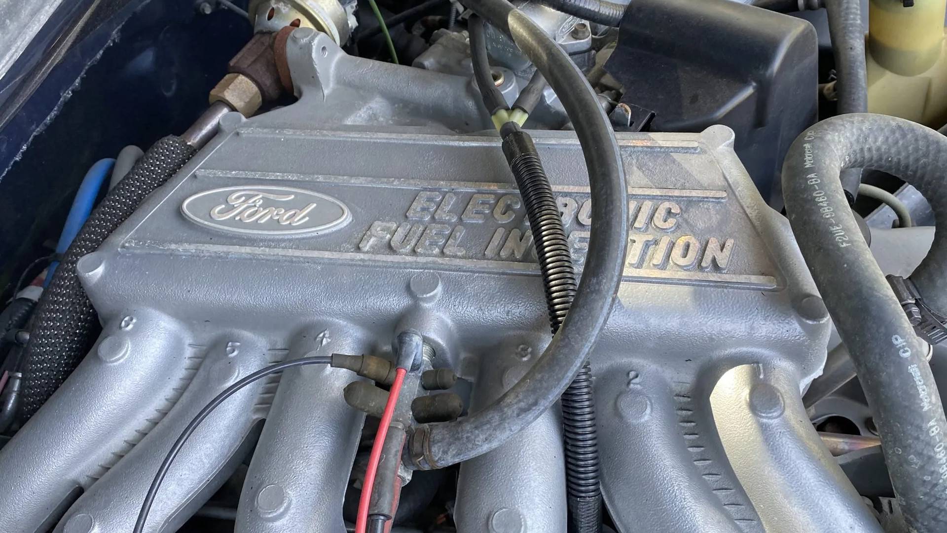 Покупатели готовы платить до 15 000 долларов за Ford с легендарным 300-кубовым двигателем в 2026 году