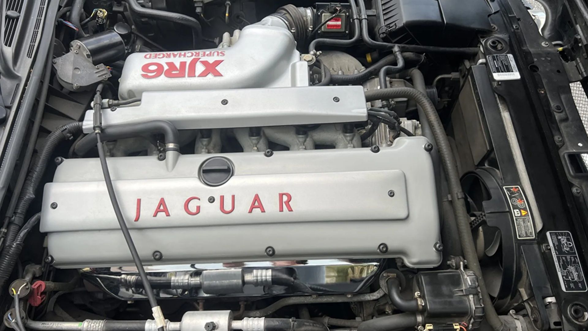 エンルートXJR Jaguar XJ XJ6 X300 XJR Supercharger Belt Idler Drive Pulley