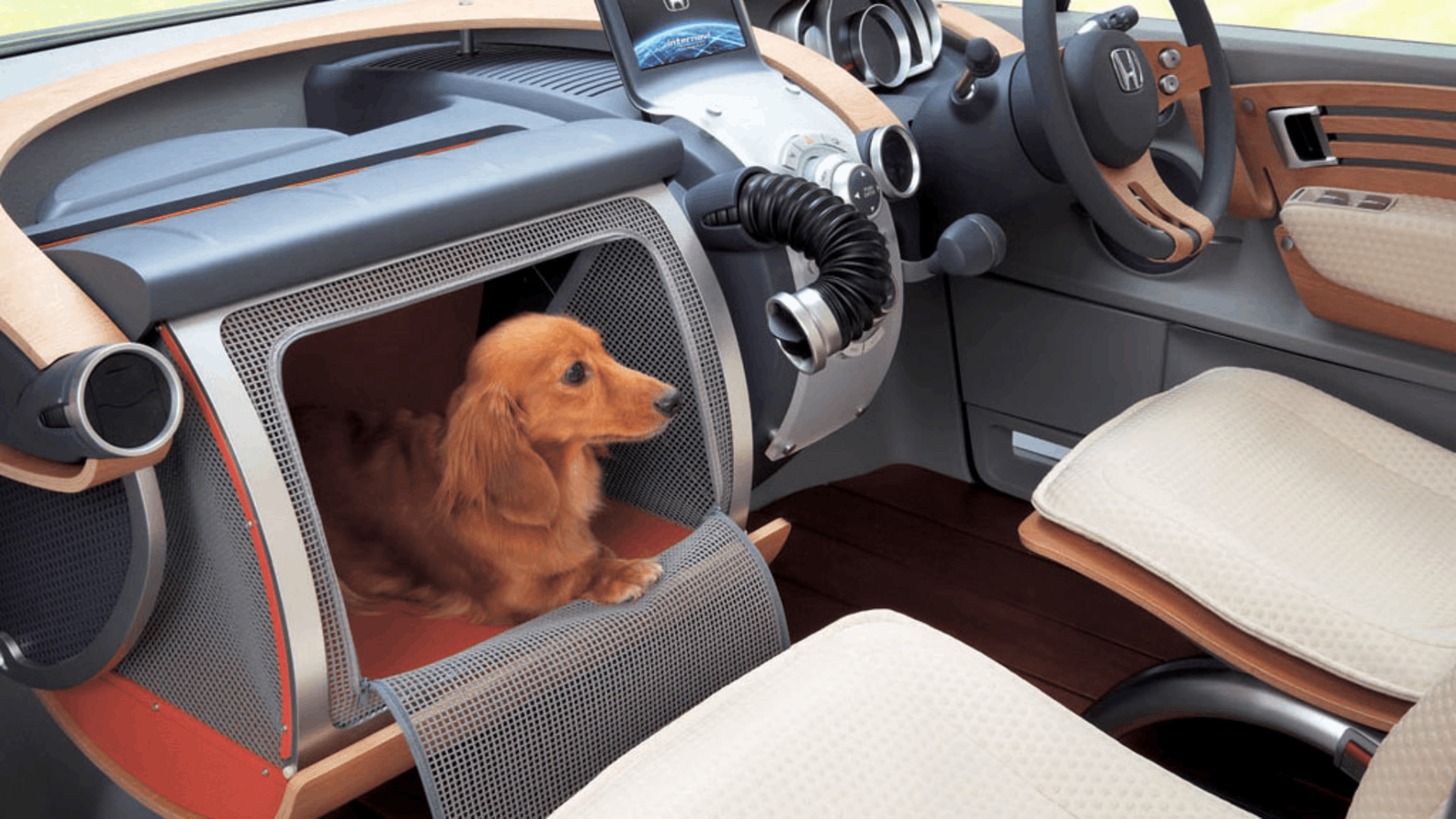 Honda Rottweilers The Honda Dog Friendly Element Was The Perfect Rig For Pet Owners
