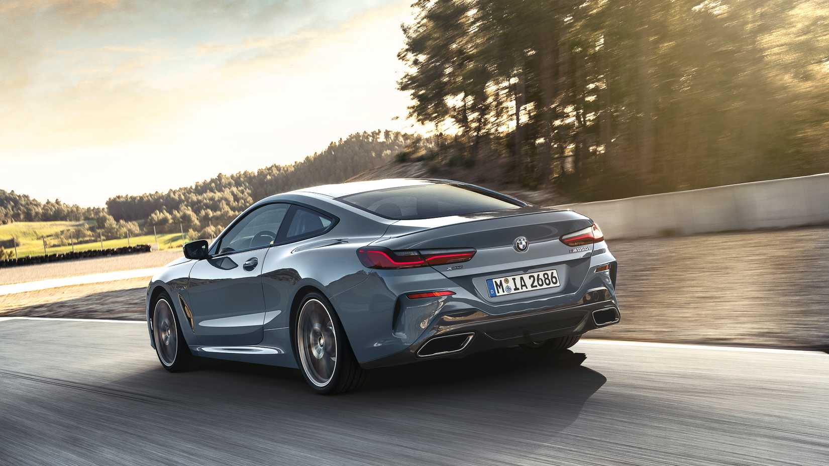 2019 BMW 8 Series-3-1