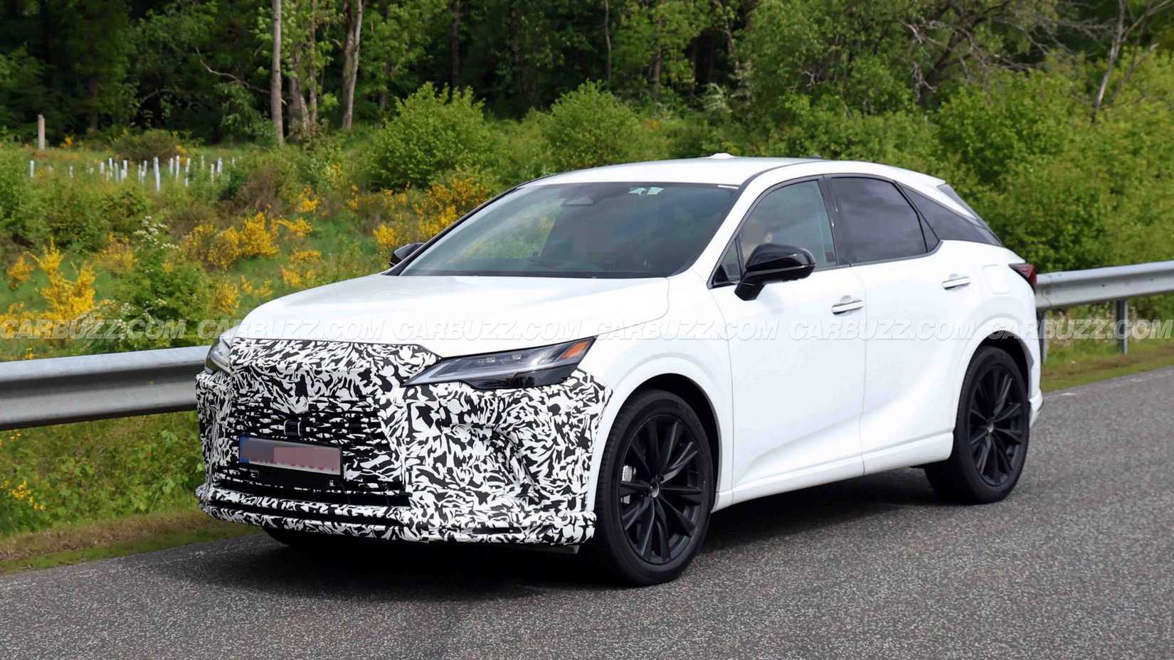 The Japanese Luxury SUV That Outsells Every BMW Is Getting An Upgrade