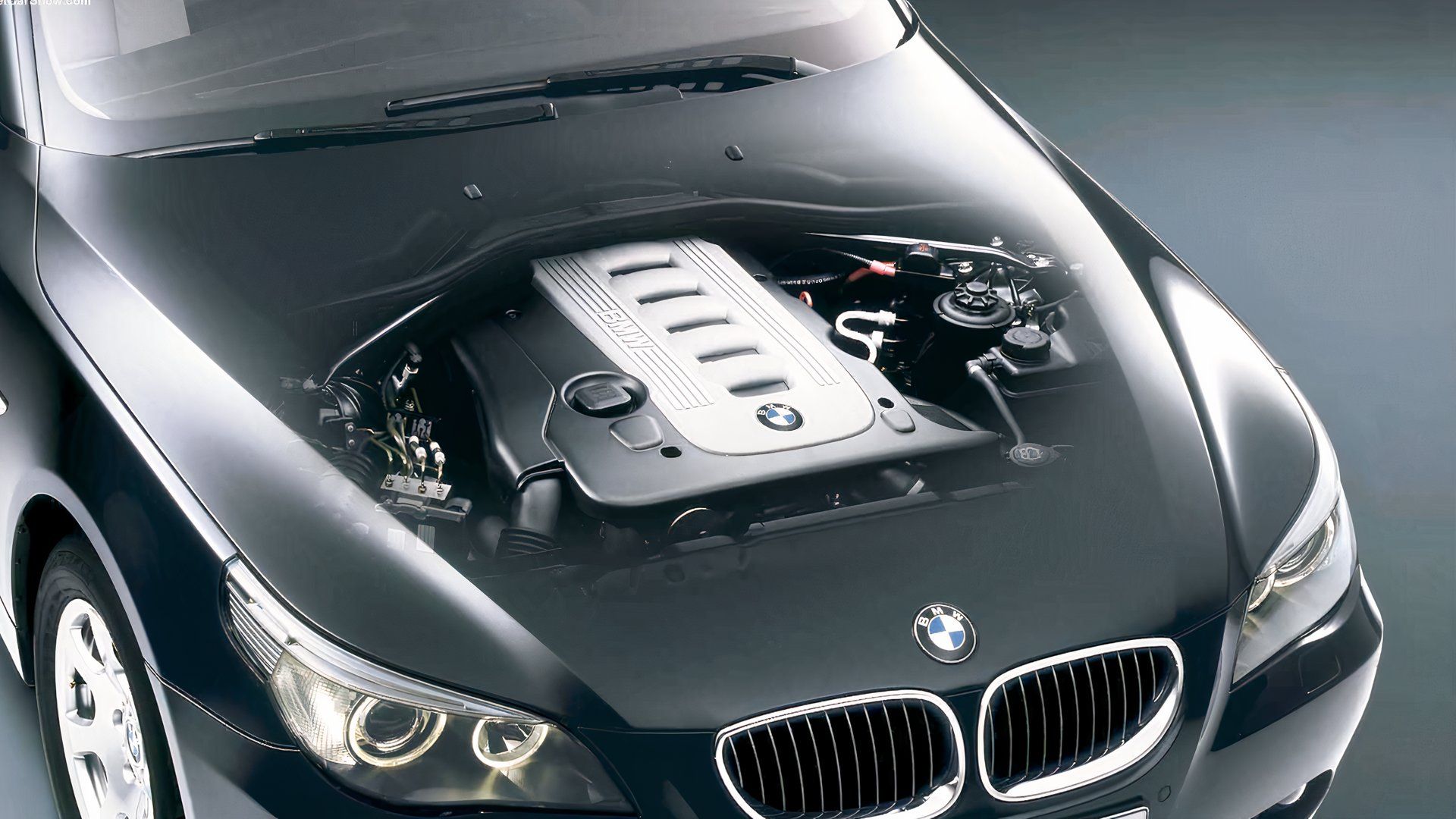 죽지 않는 BMW, 아무도 말하지 않는 최고의 중고차 매물