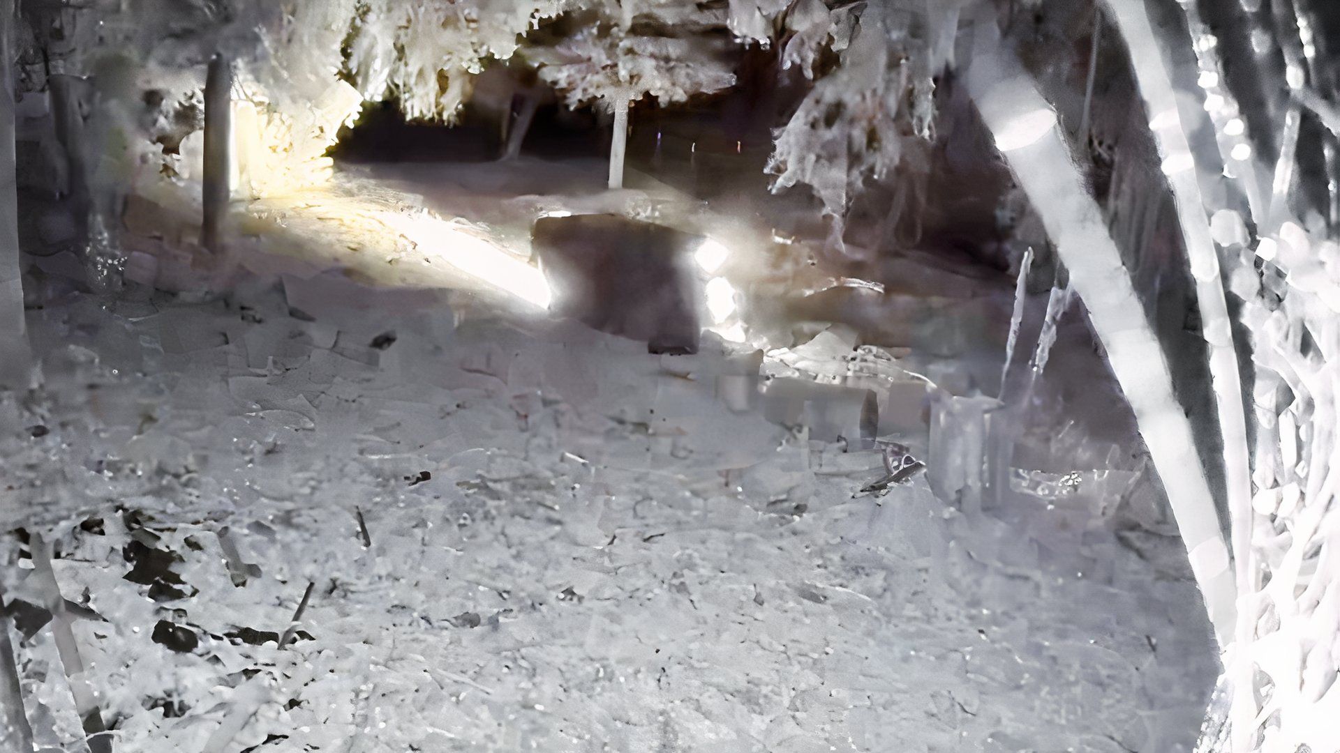 Watch This Honda Fit Crash Out, Roll Twice, And Drive Away Like It's Nothing