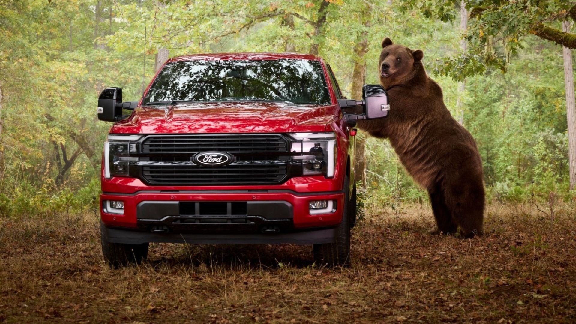 How Ford Used A Trained 800-Pound Bear To Test The F-150