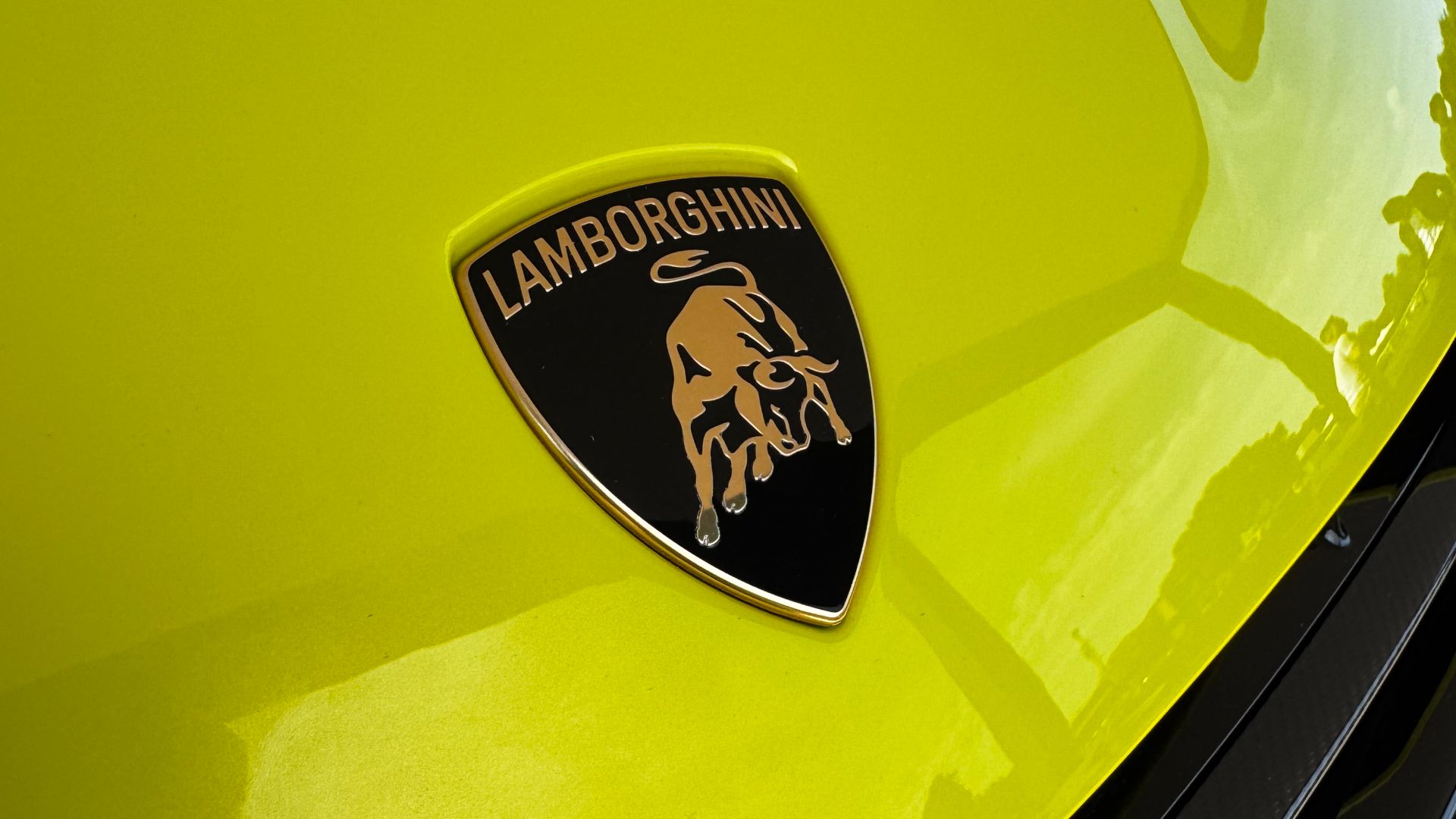 'This Can Be Nothing Else Than A Lamborghini' - Lamborghini CEO On The Next New Raging Bull
