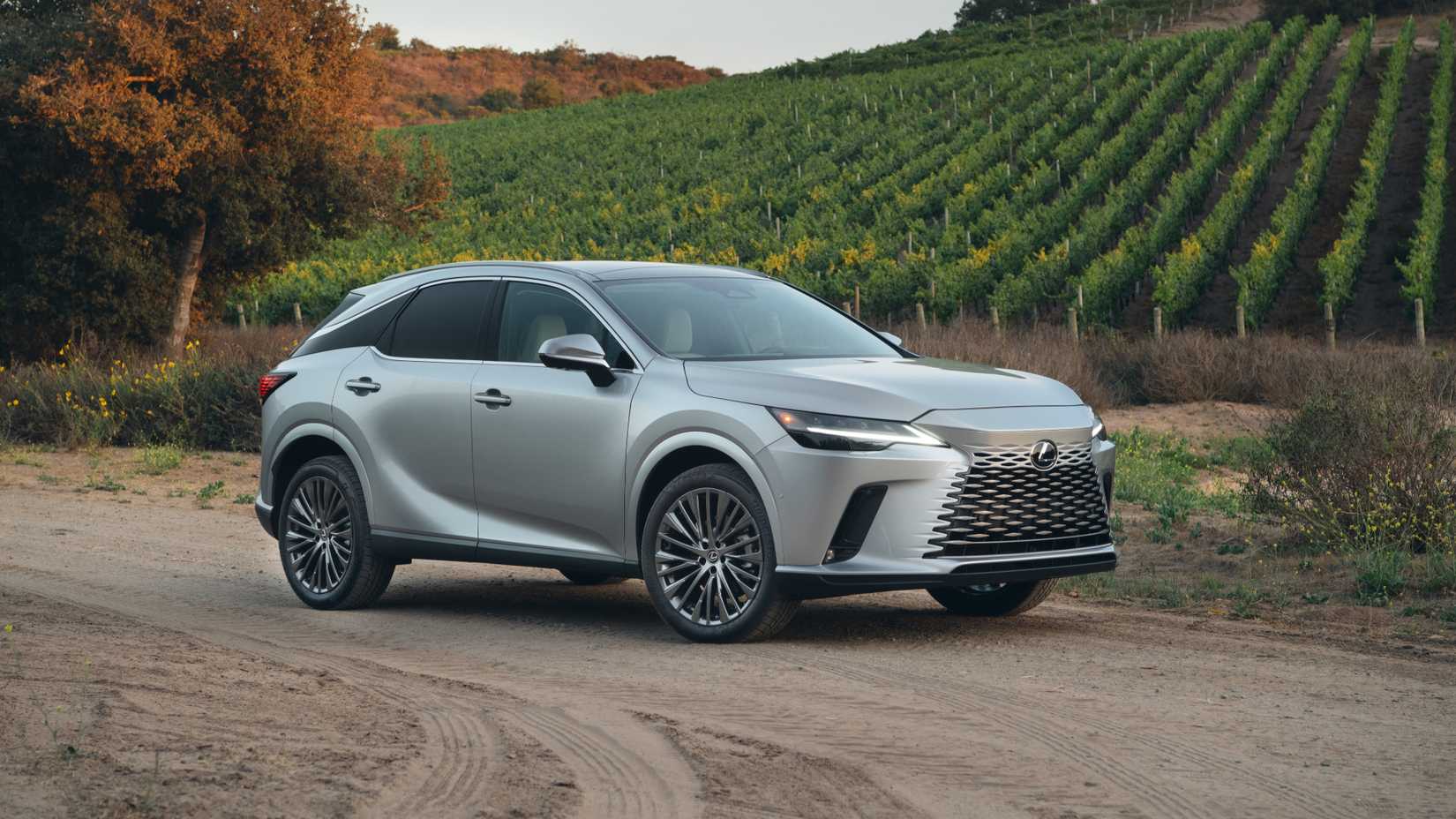 Lexus Putting A Little Nurburgring Into The RX For Japan, But What ...