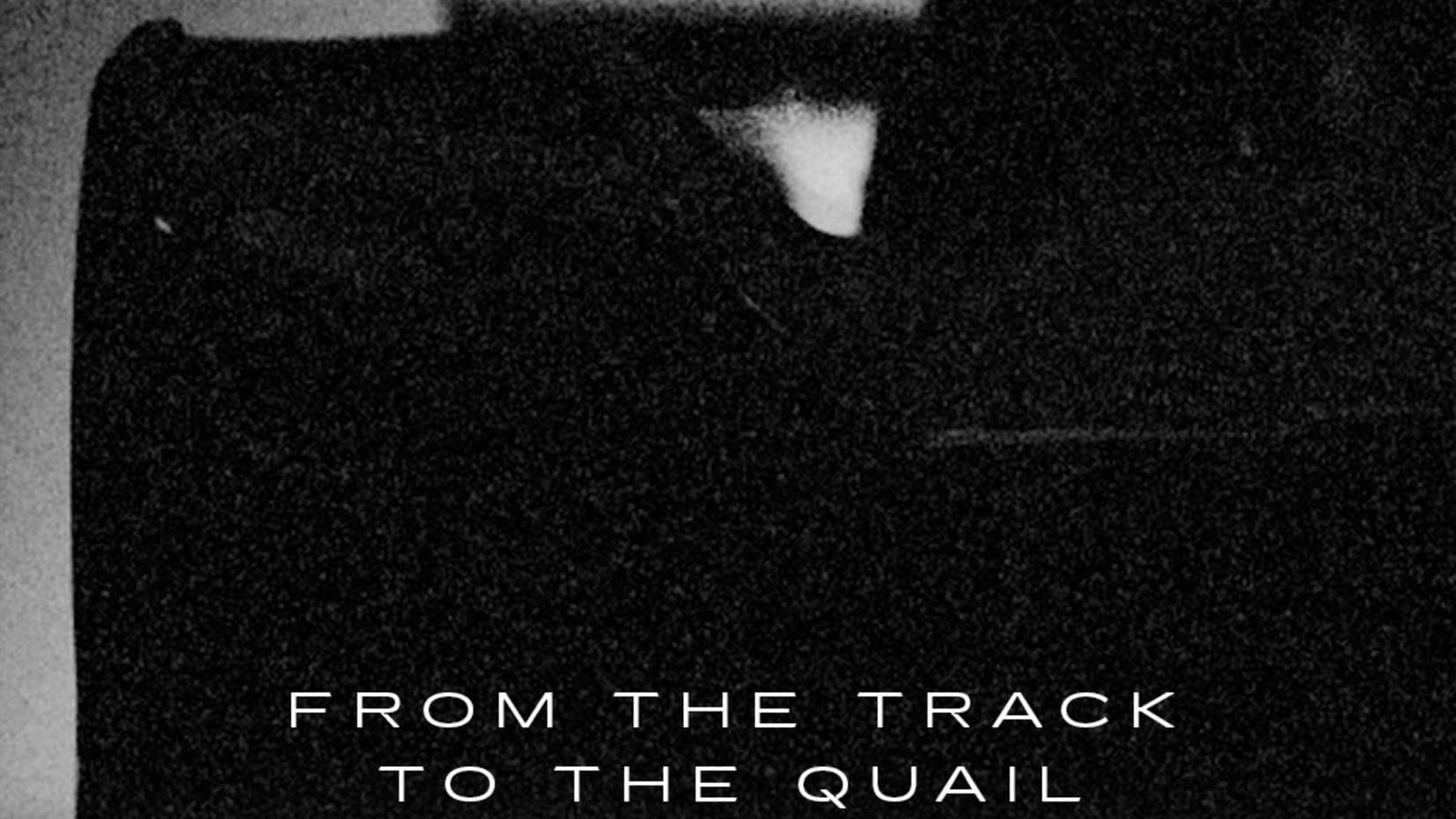 Cadillac Quail Teaser