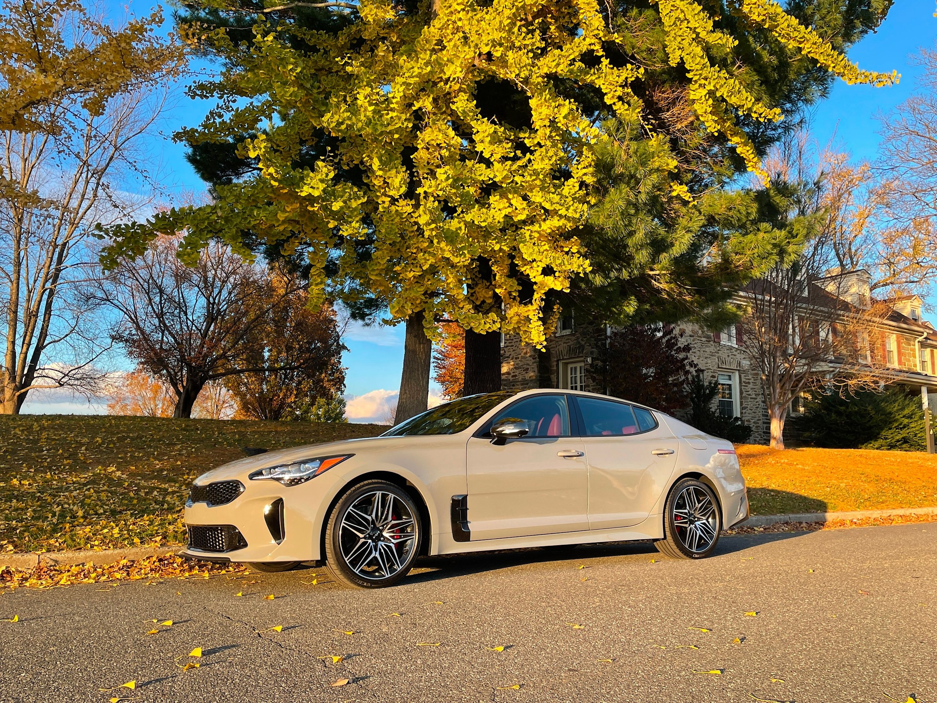 Go Buy A Kia Stinger Before It's Gone Forever