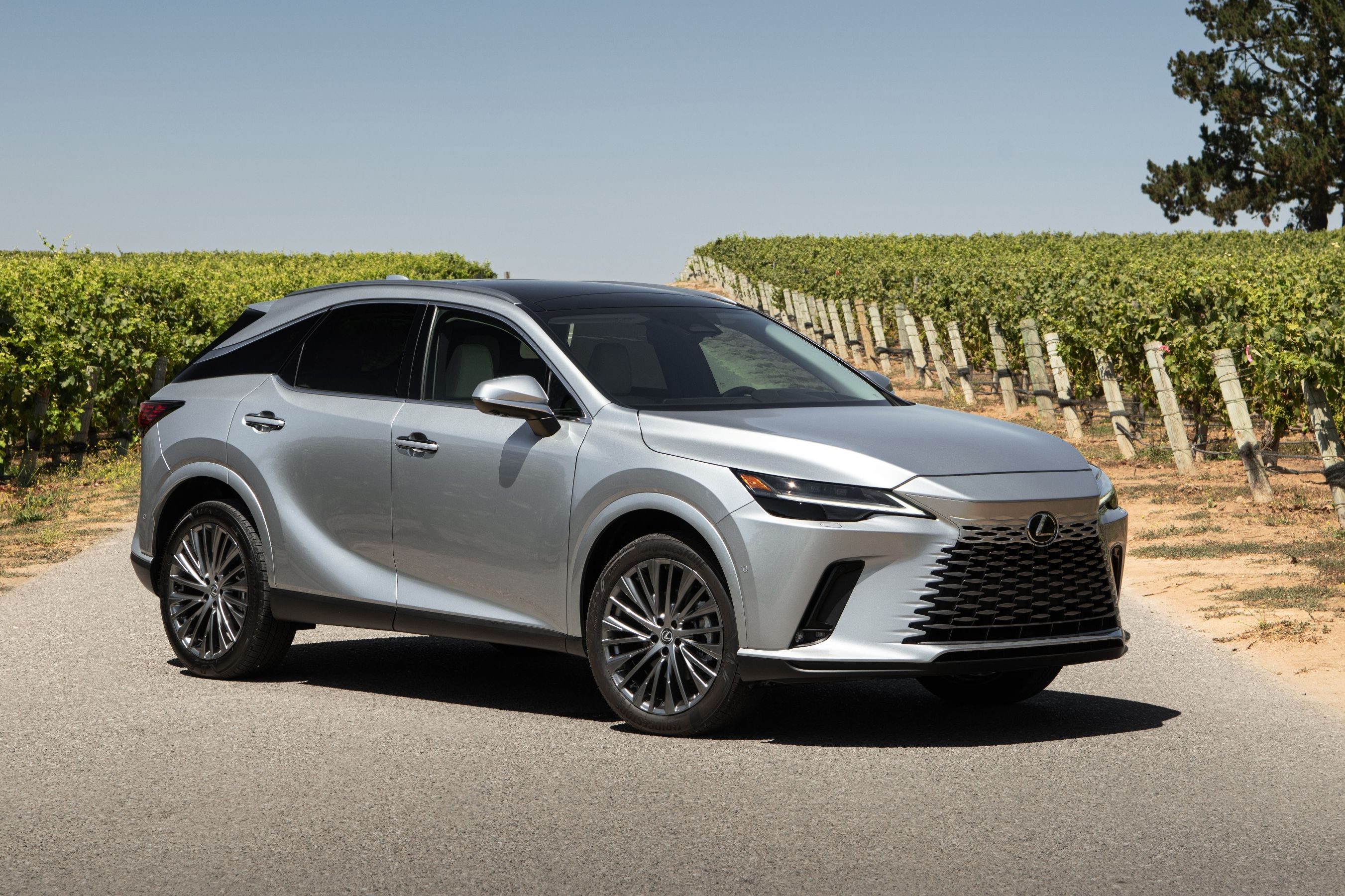 2024 Lexus RX Hybrid Exterior Photos