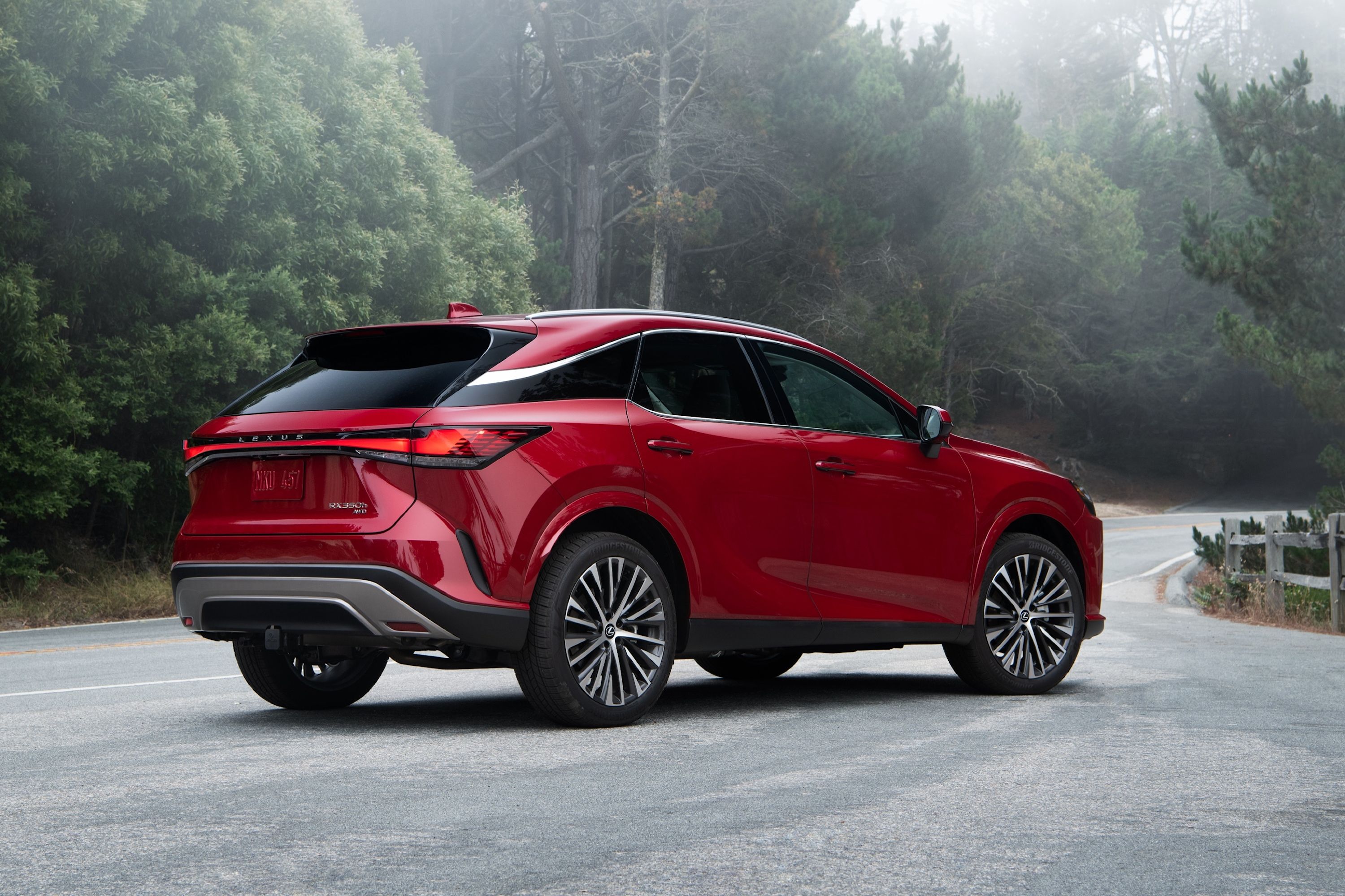 2024 Lexus RX Hybrid Exterior Photos