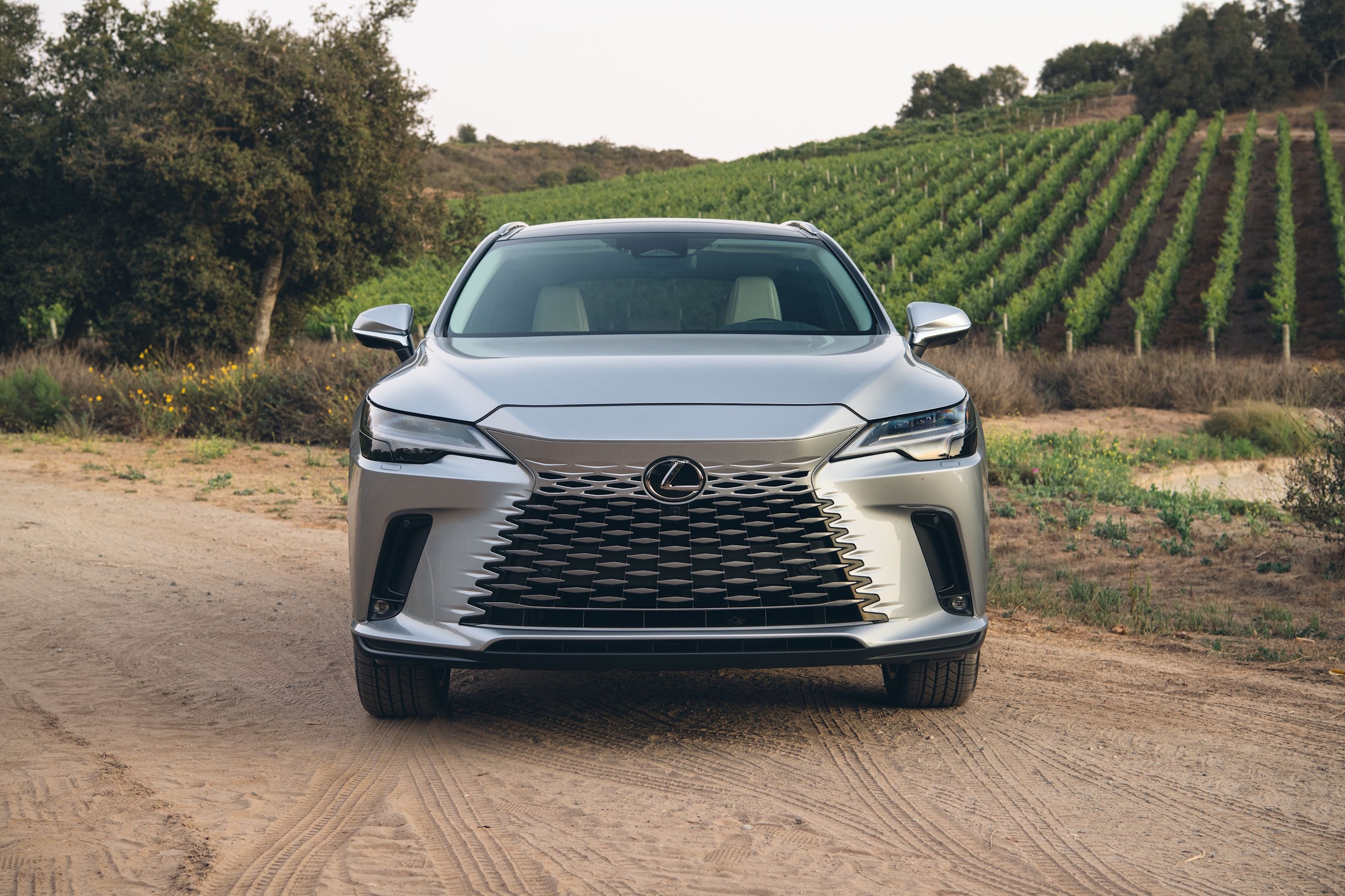 2024 Lexus RX Hybrid Exterior Photos