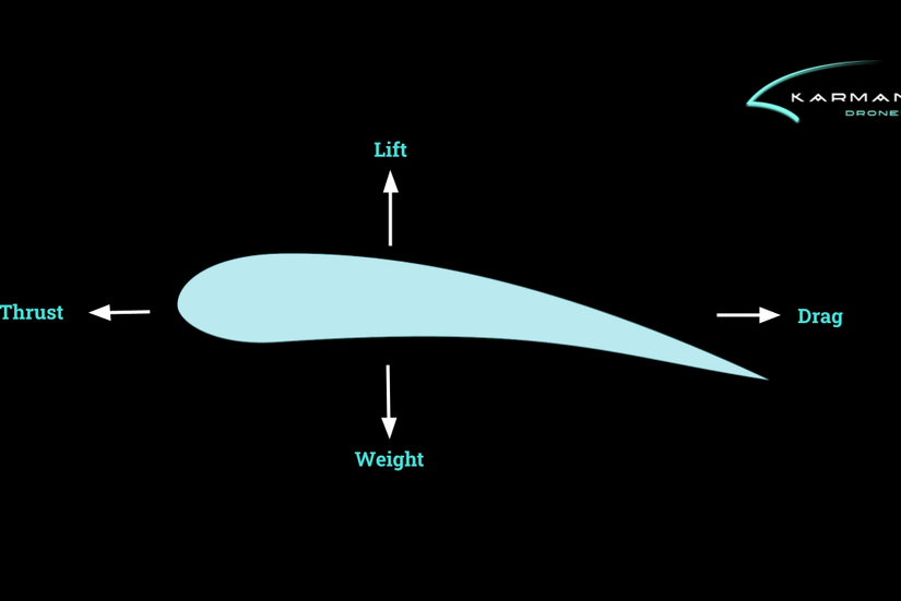 What's The Difference Between A Spoiler And A Wing?