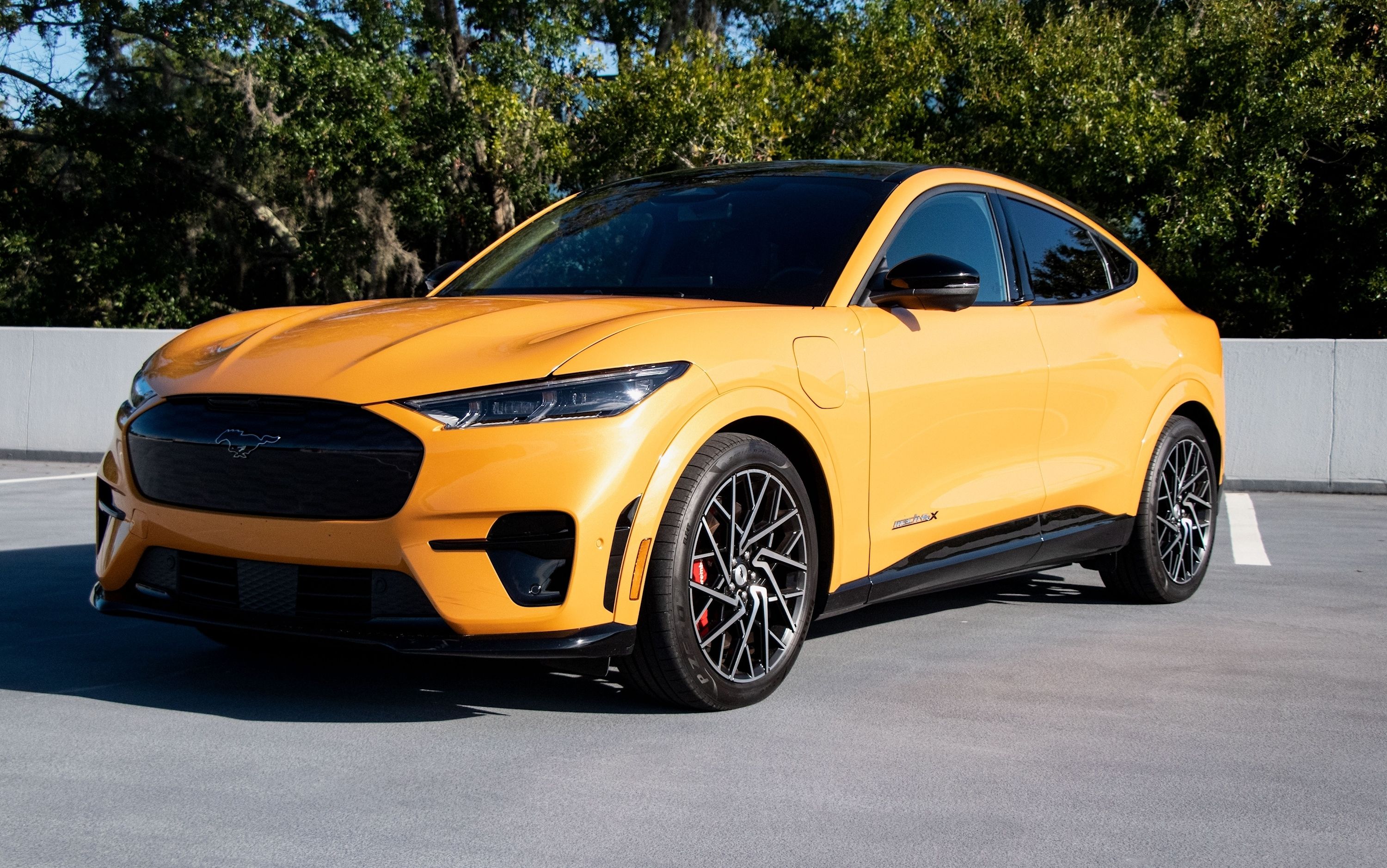 Ford'S Ev Gamble Backfires: Billions Lost, Plans Scrapped? - arnqfd6