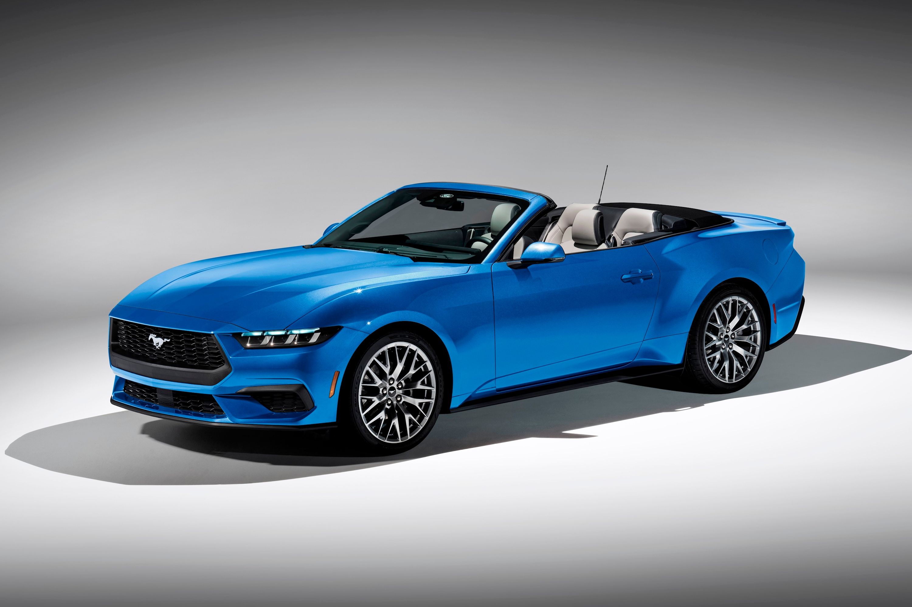 【COLOR iN ID】romeo suede mustang Ford+Mustang.jpg?format=1000w