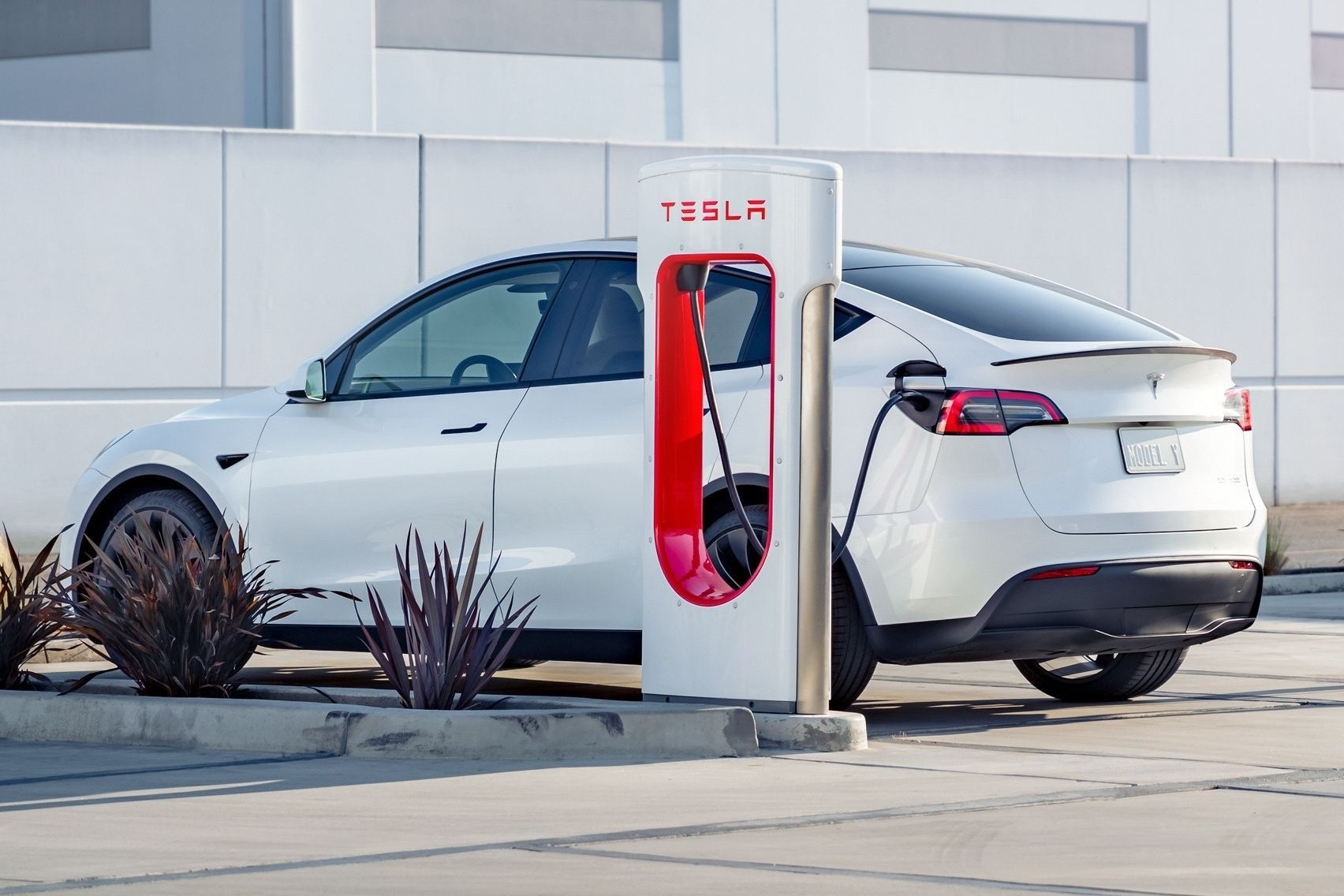 Tesla's NACS Connector To Become Standard Charger For Entire EV Industry