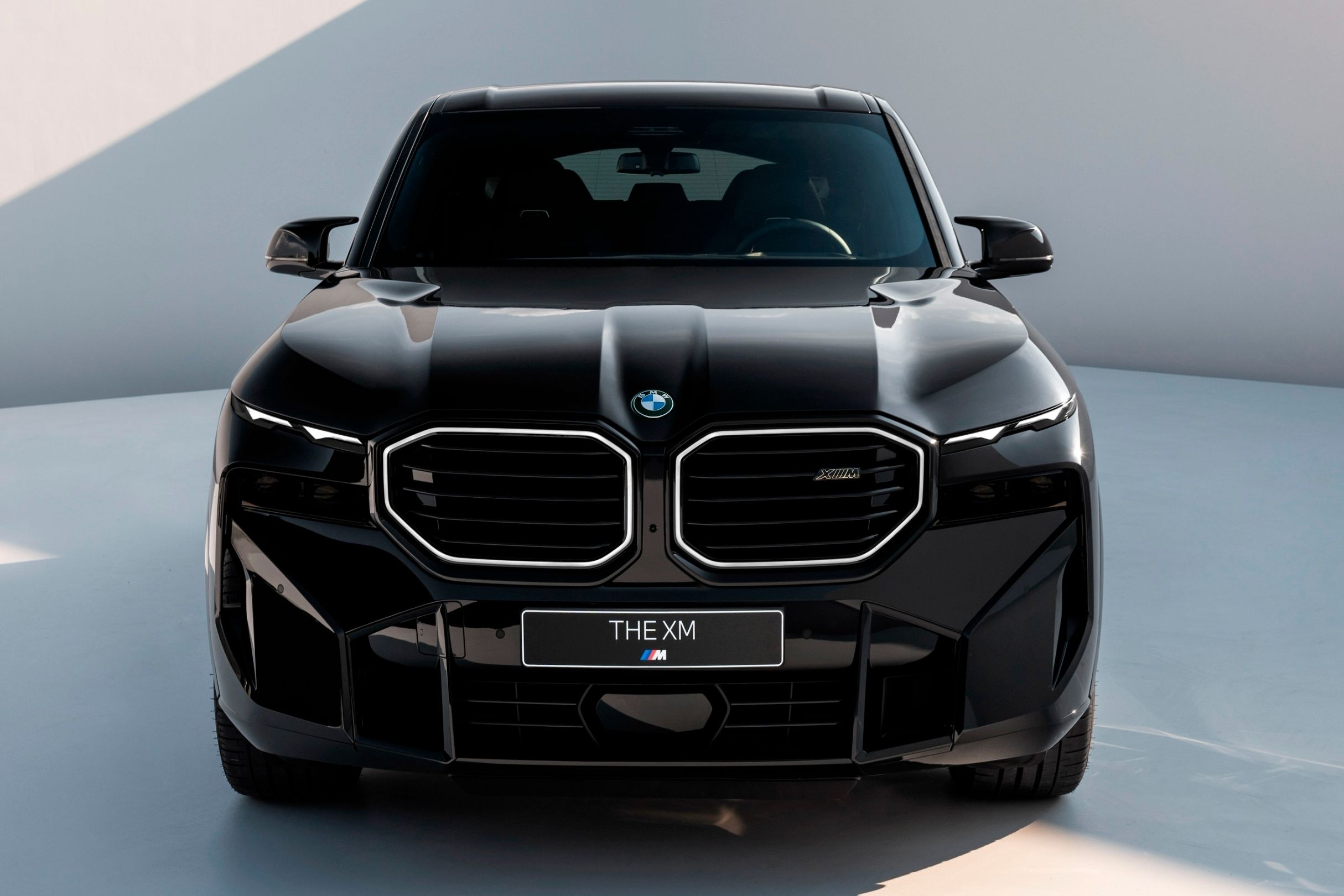 Big grill bmw sales