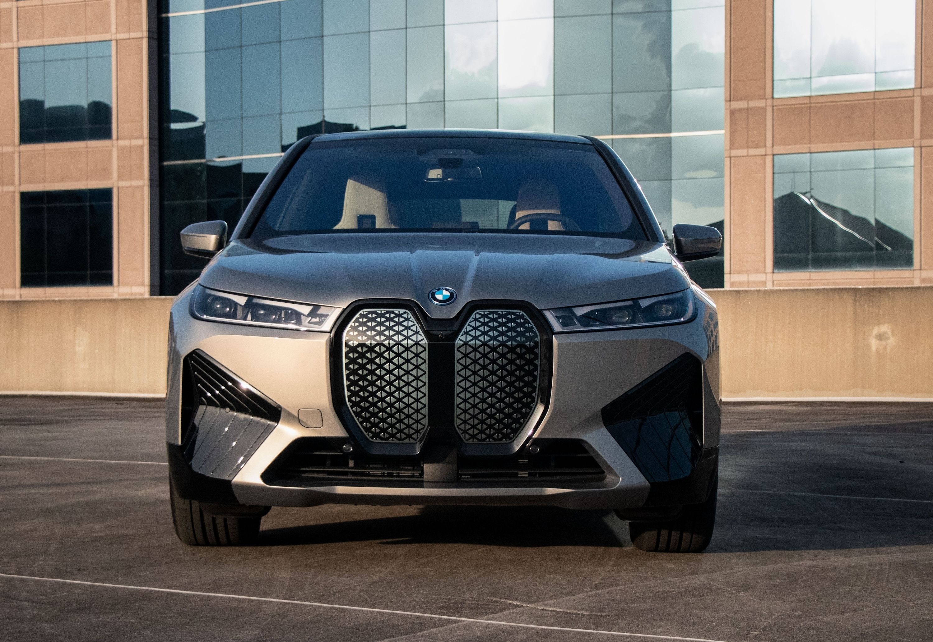 Big grill bmw discount